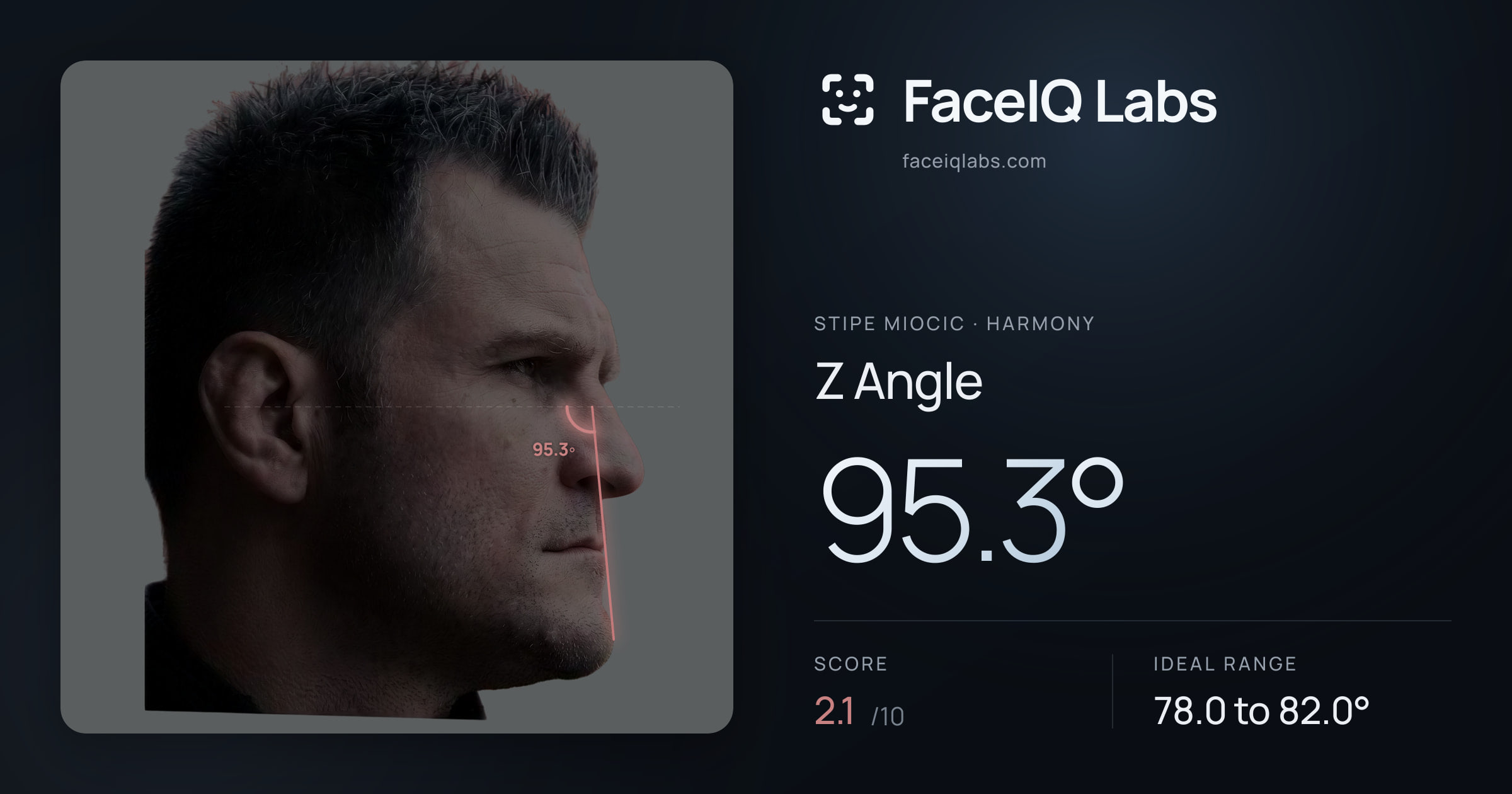 Stipe Miocic Z Angle: 95.3°, drawn on the photo
