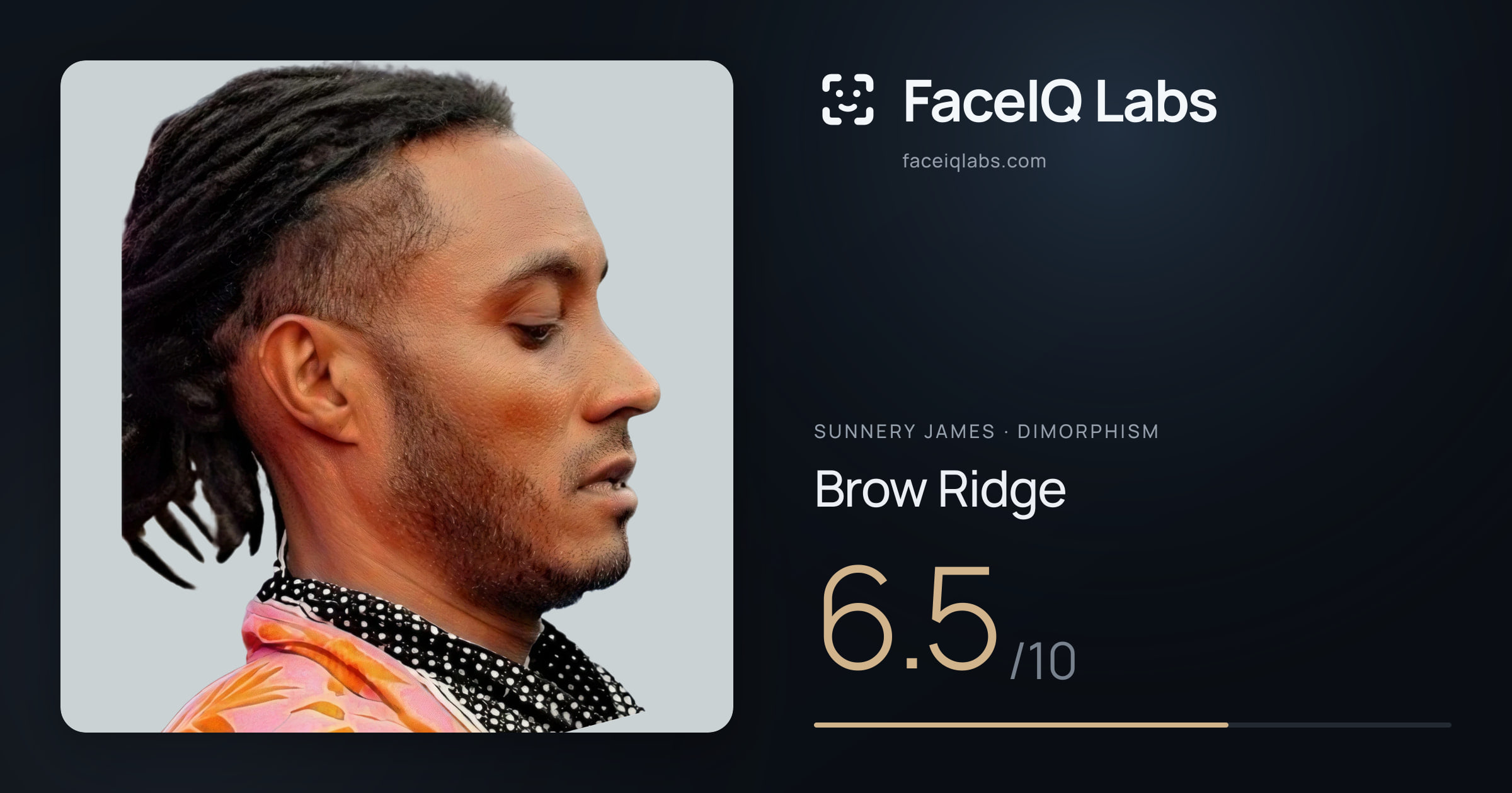 Sunnery James Brow Ridge: 6.5/10, drawn on the photo