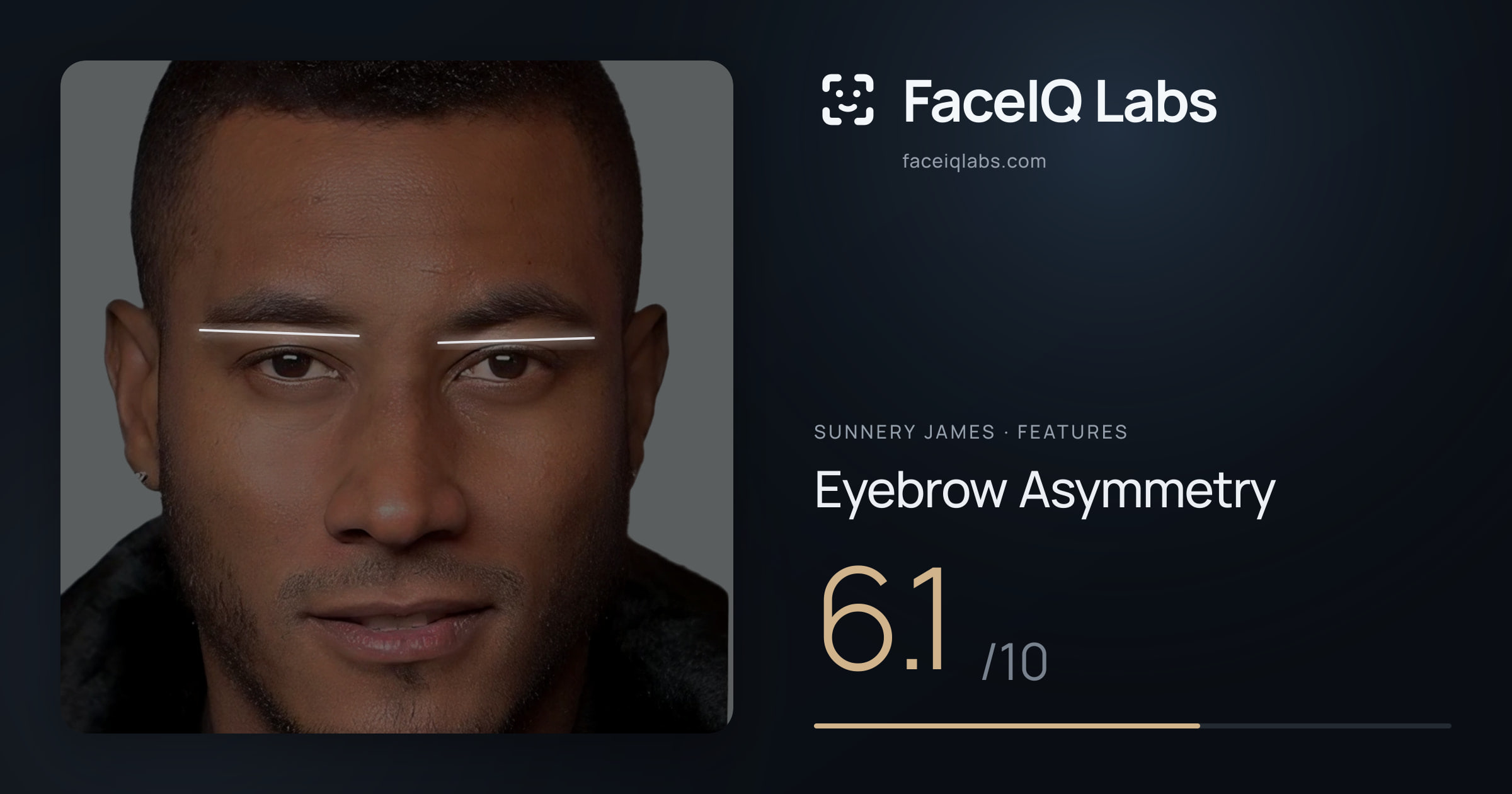 Sunnery James Eyebrow Asymmetry: 6.1/10, drawn on the photo