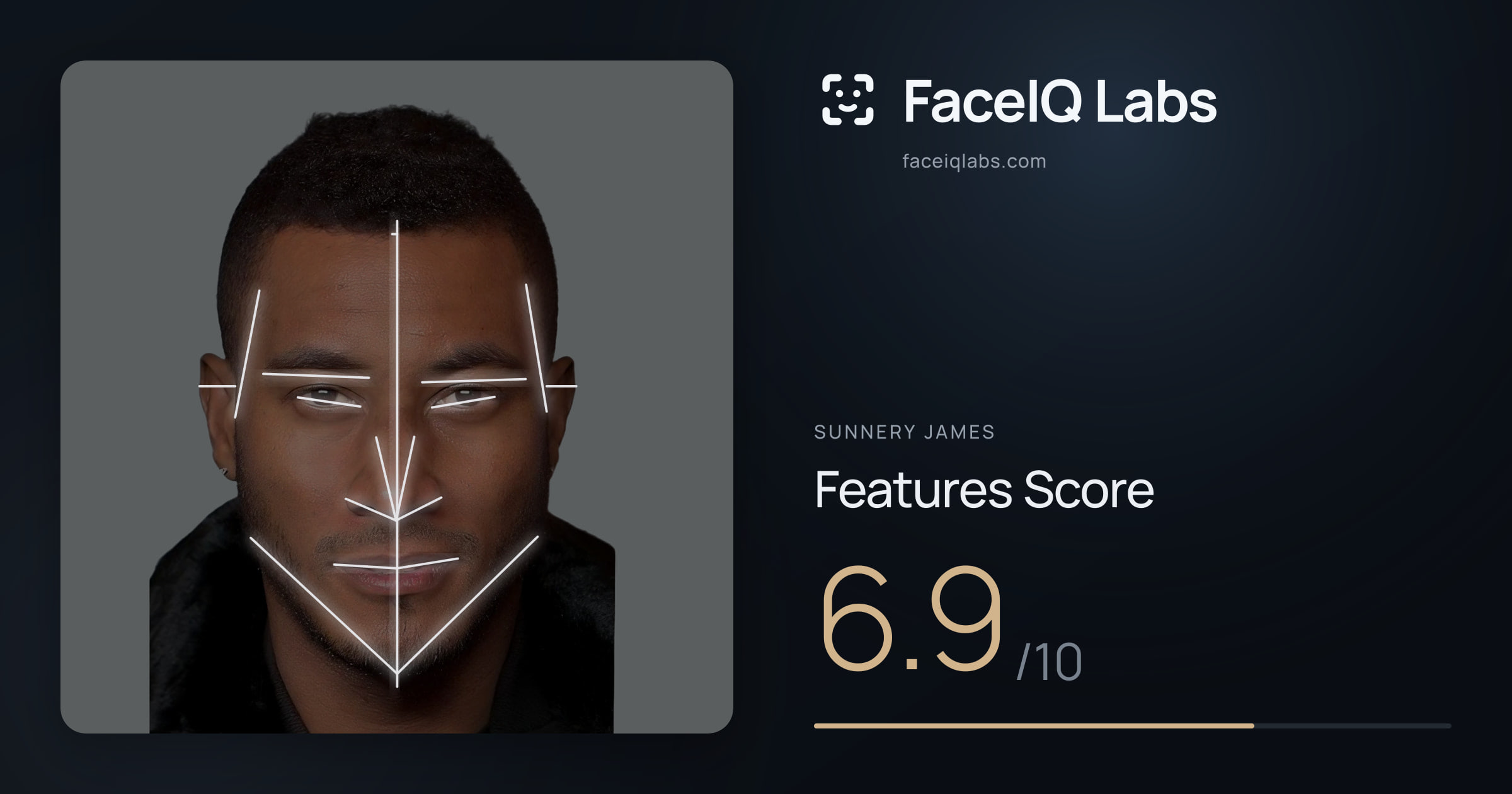 Sunnery James Features: 6.9/10, with each assessment drawn on the photo
