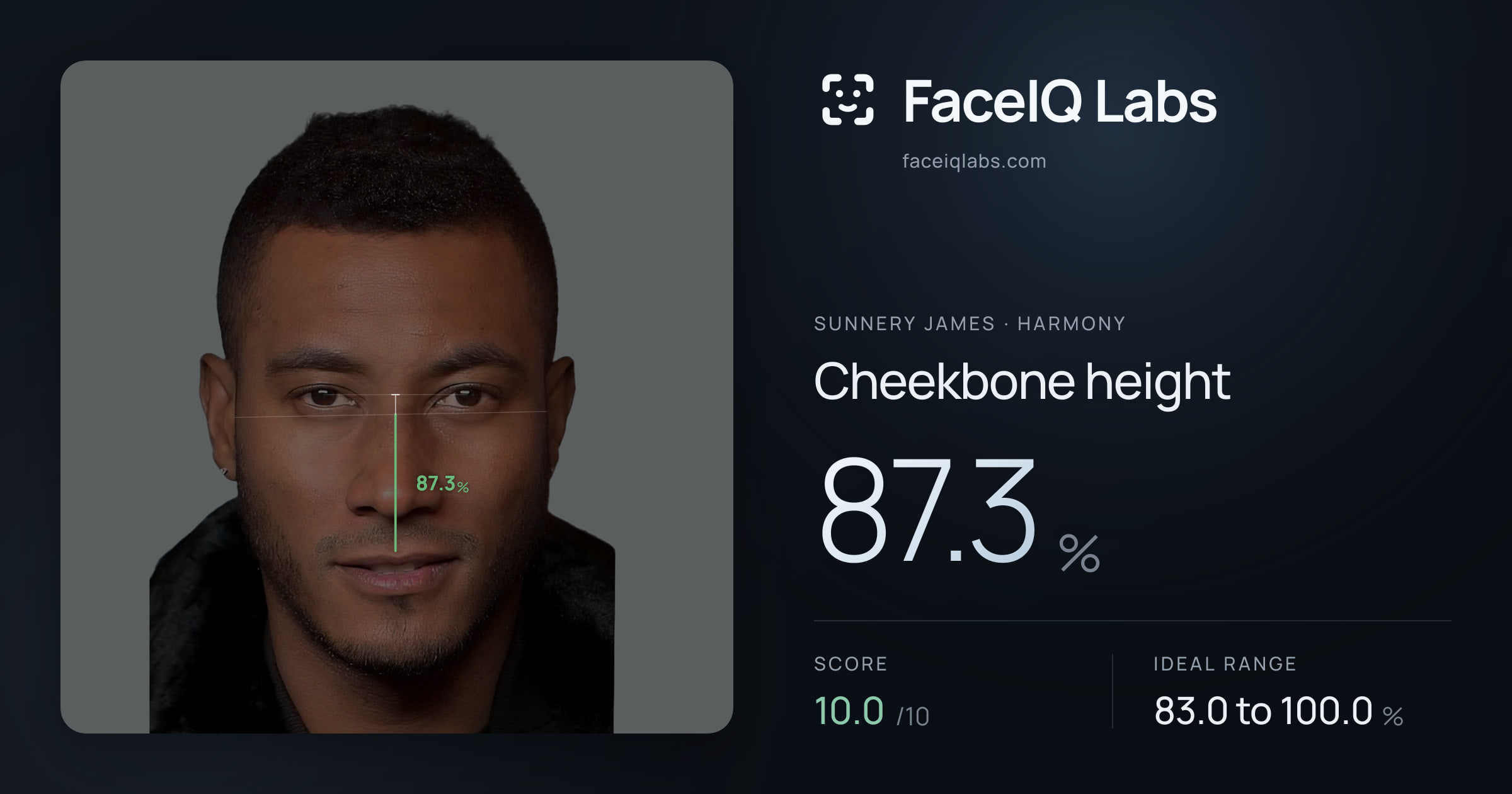 Sunnery James Cheekbone height: 87.3%, drawn on the photo