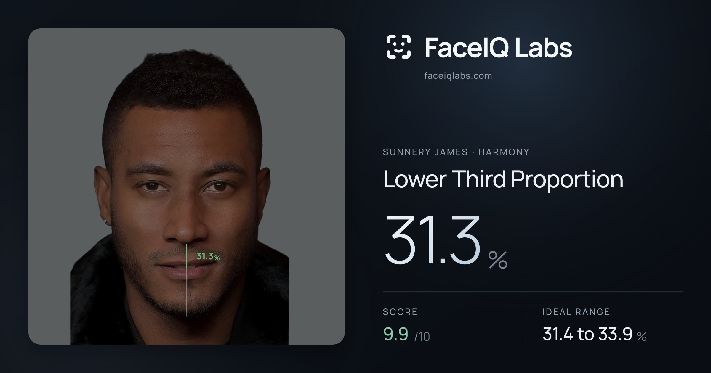 Sunnery James Lower Third Proportion: 31.3%, drawn on the photo