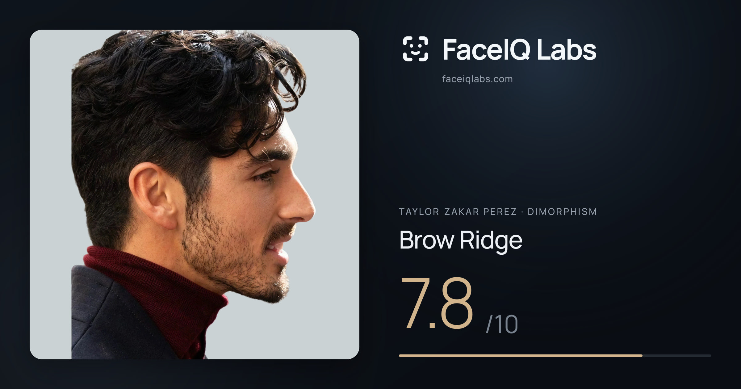 Taylor Zakar Perez Brow Ridge: 7.8/10, drawn on the photo