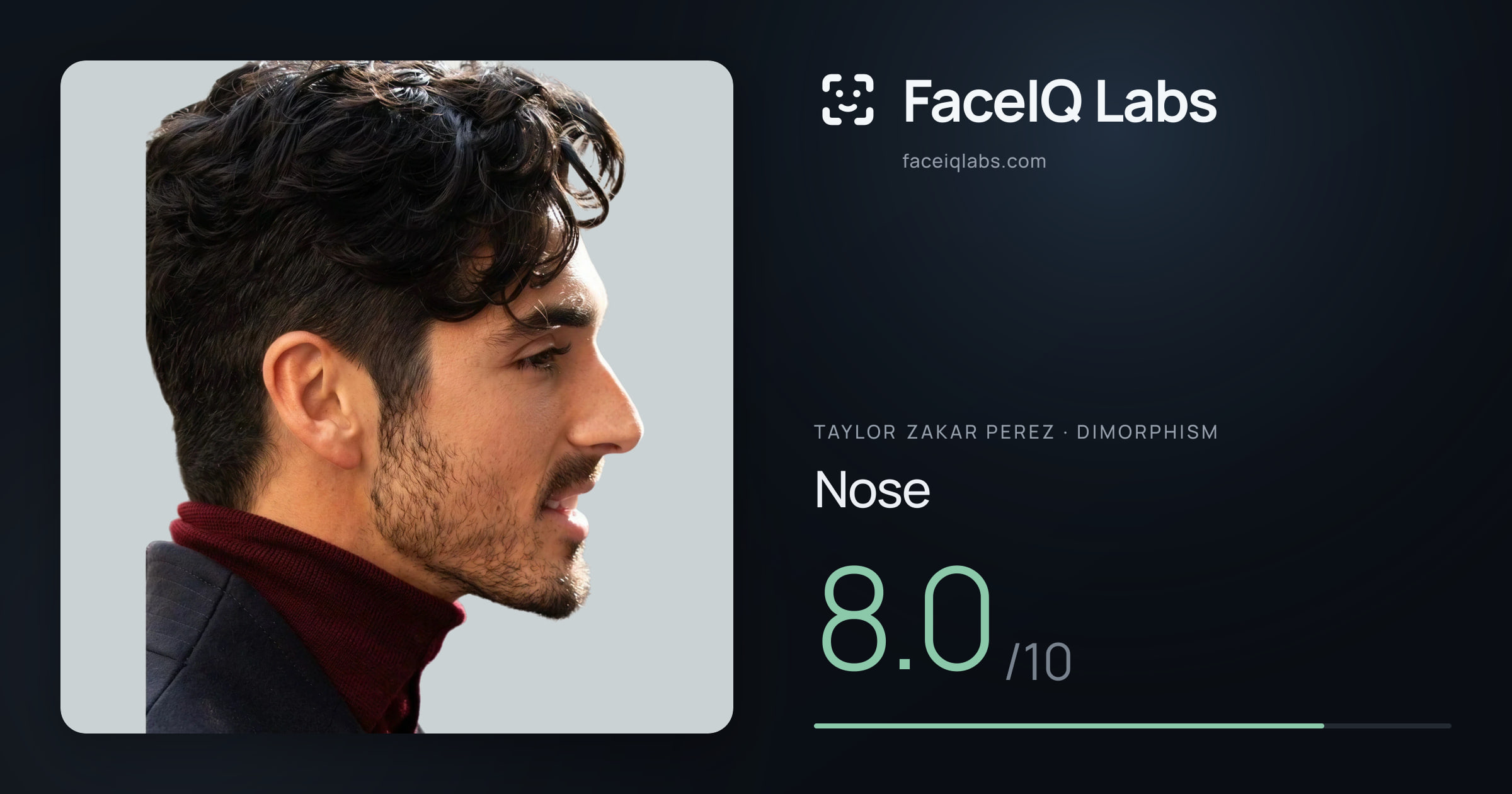 Taylor Zakar Perez Nose: 8.0/10, drawn on the photo