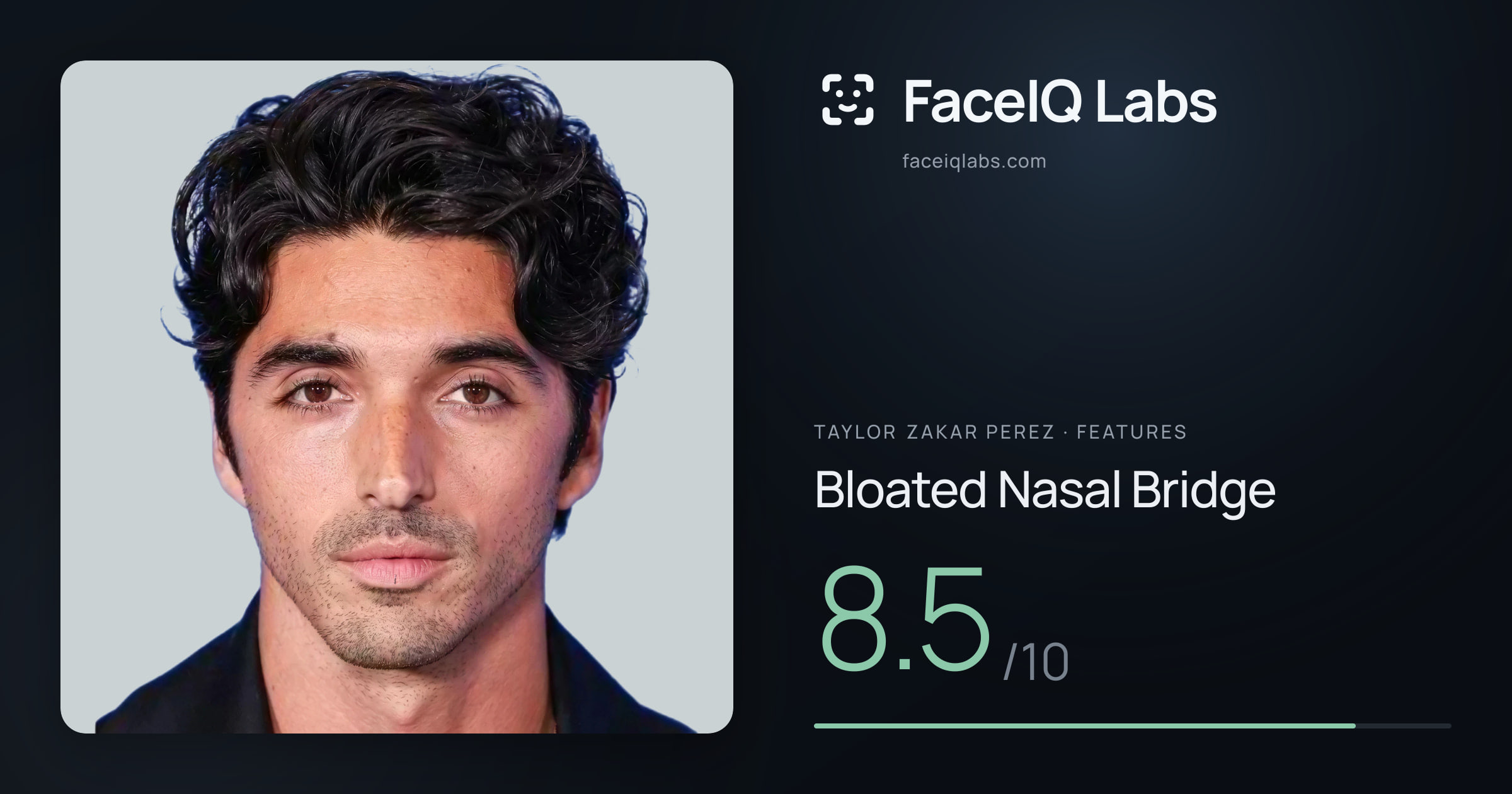 Taylor Zakar Perez Bloated Nasal Bridge: 8.5/10, drawn on the photo