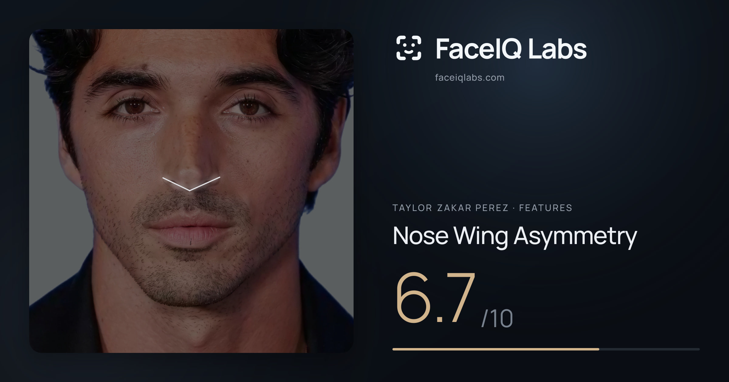 Taylor Zakar Perez Nose Wing Asymmetry: 6.7/10, drawn on the photo