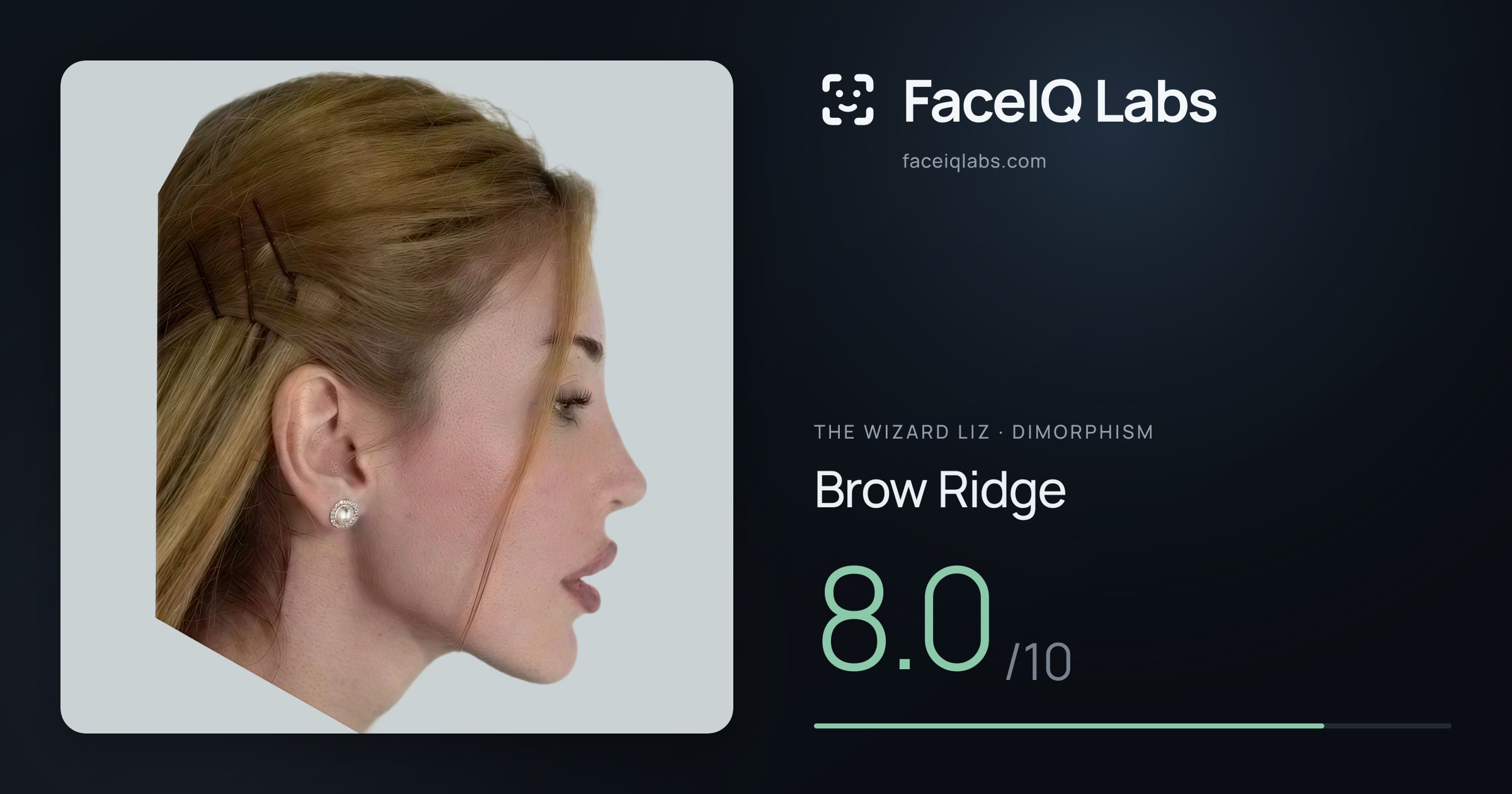 The Wizard Liz Brow Ridge: 8.0/10, drawn on the photo