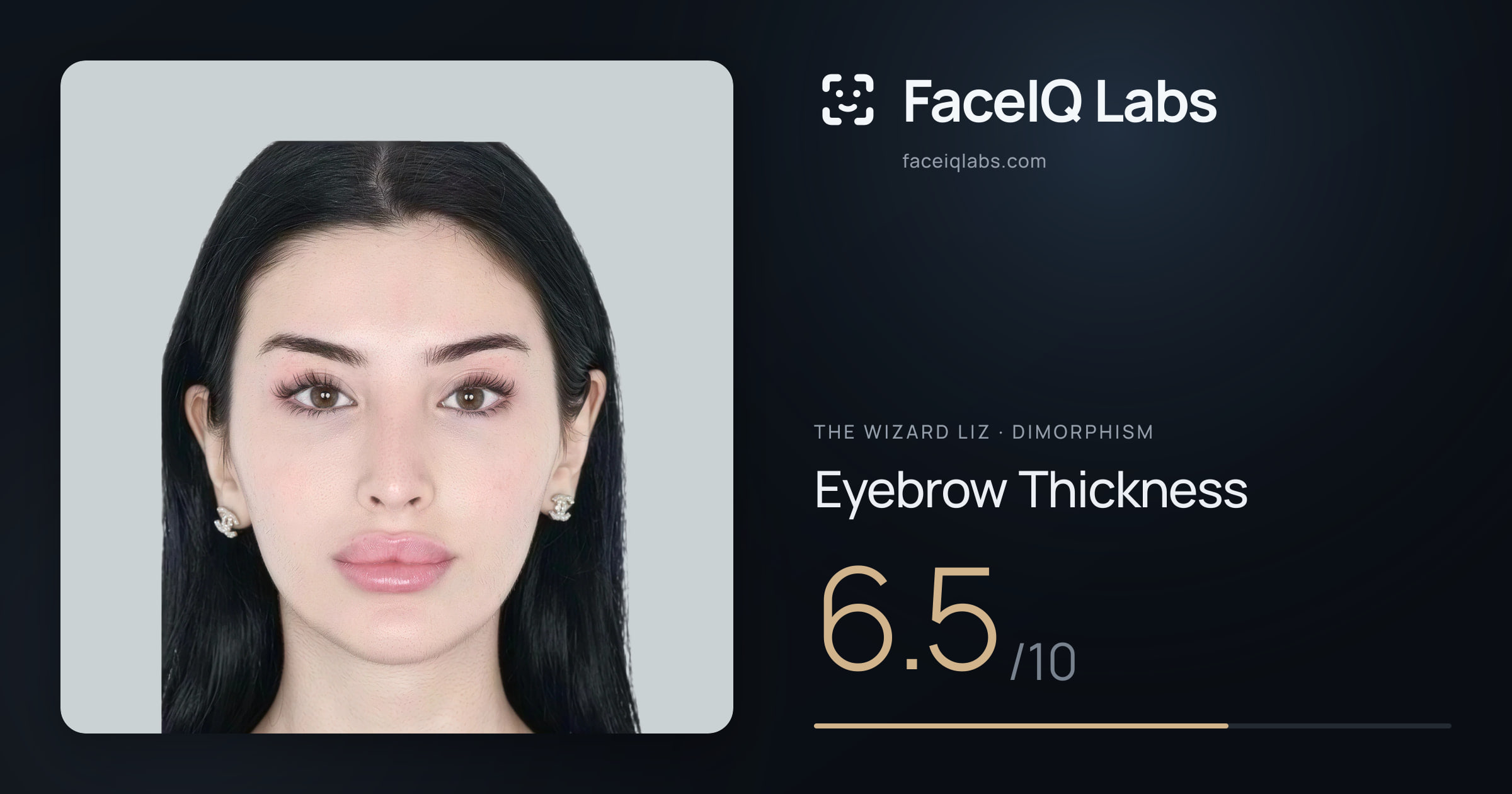 The Wizard Liz Eyebrow Thickness: 6.5/10, drawn on the photo