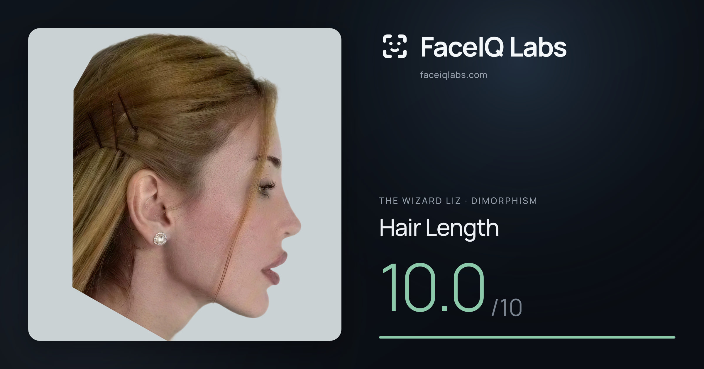 The Wizard Liz Hair Length: 10.0/10, drawn on the photo