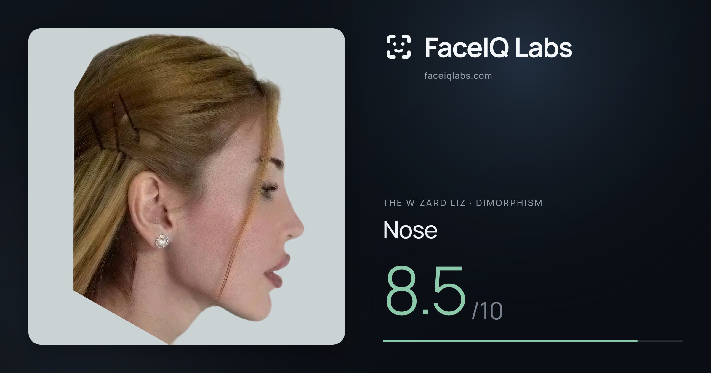 The Wizard Liz Nose: 8.5/10, drawn on the photo
