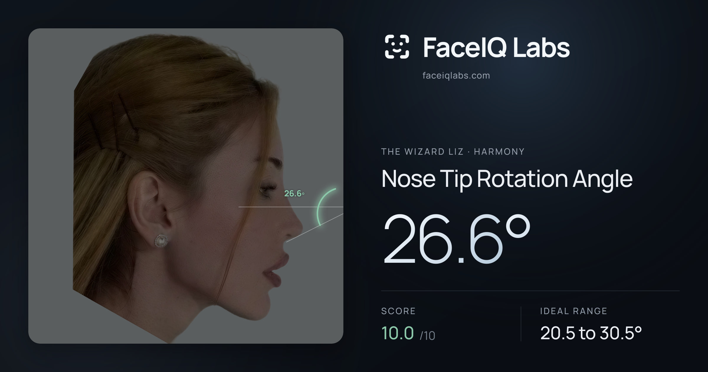 The Wizard Liz Nose Tip Rotation Angle: 26.6°, drawn on the photo