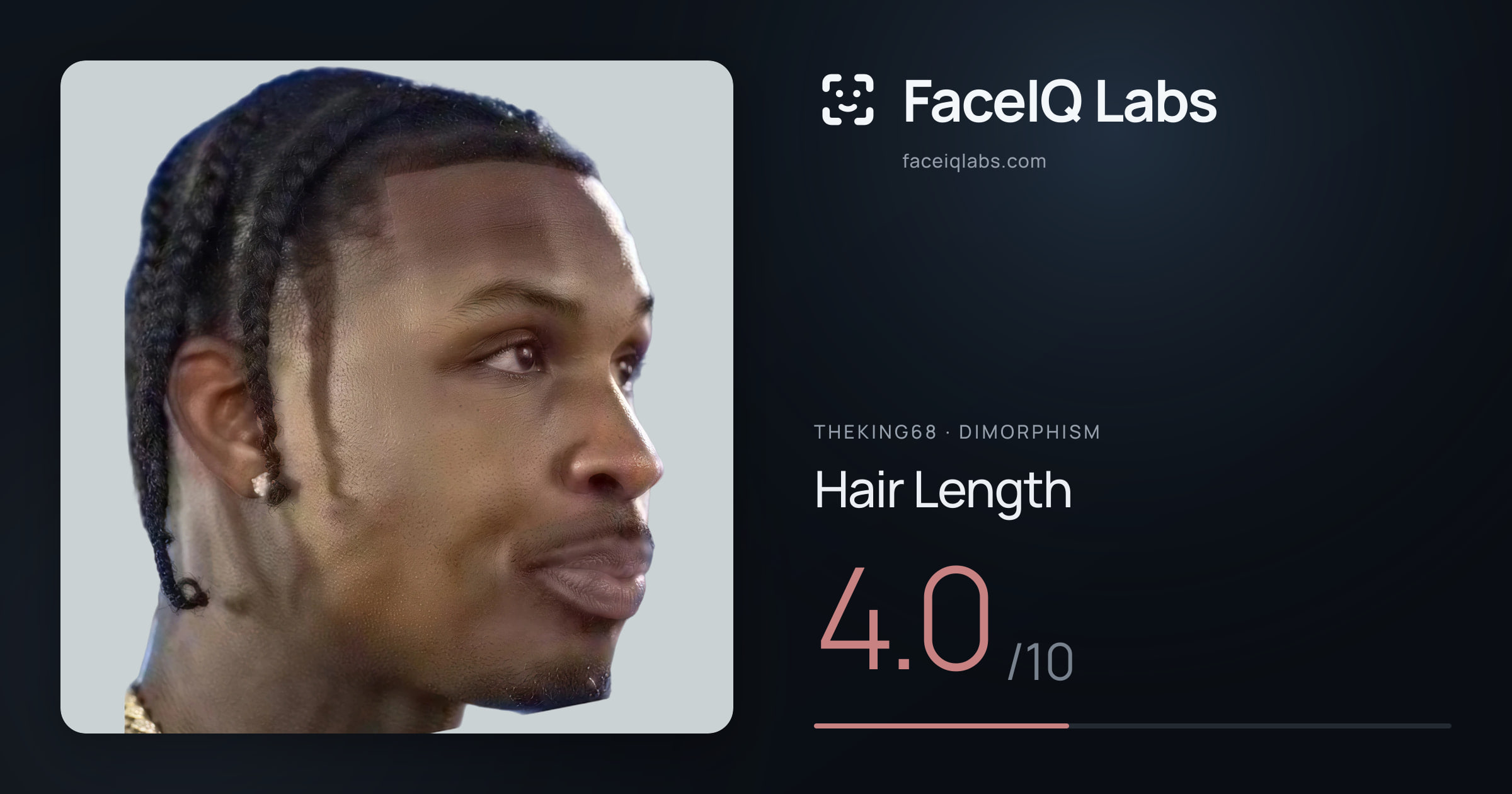 Theking68 Hair Length: 4.0/10, drawn on the photo