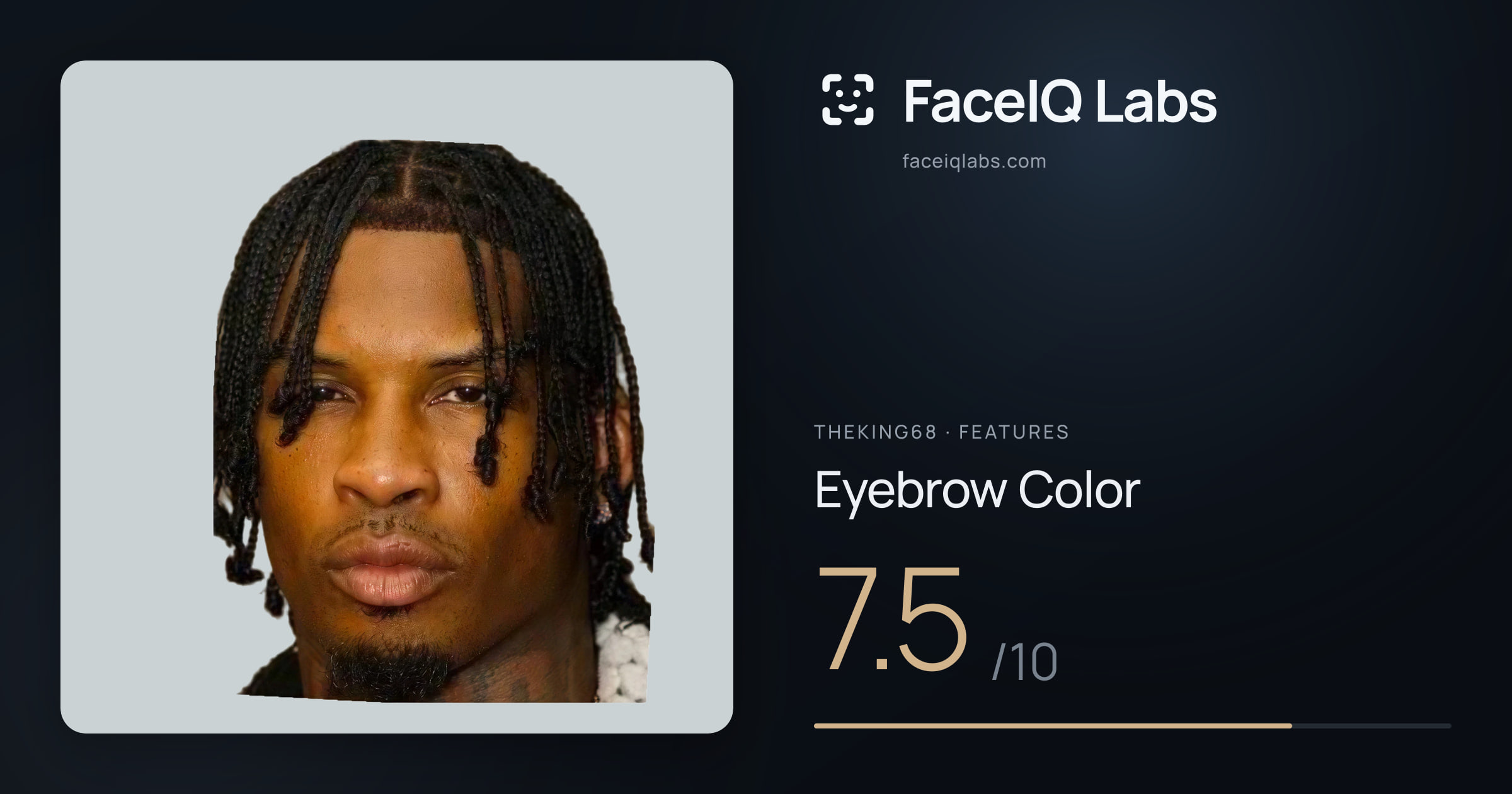 Theking68 Eyebrow Color: 7.5/10, drawn on the photo