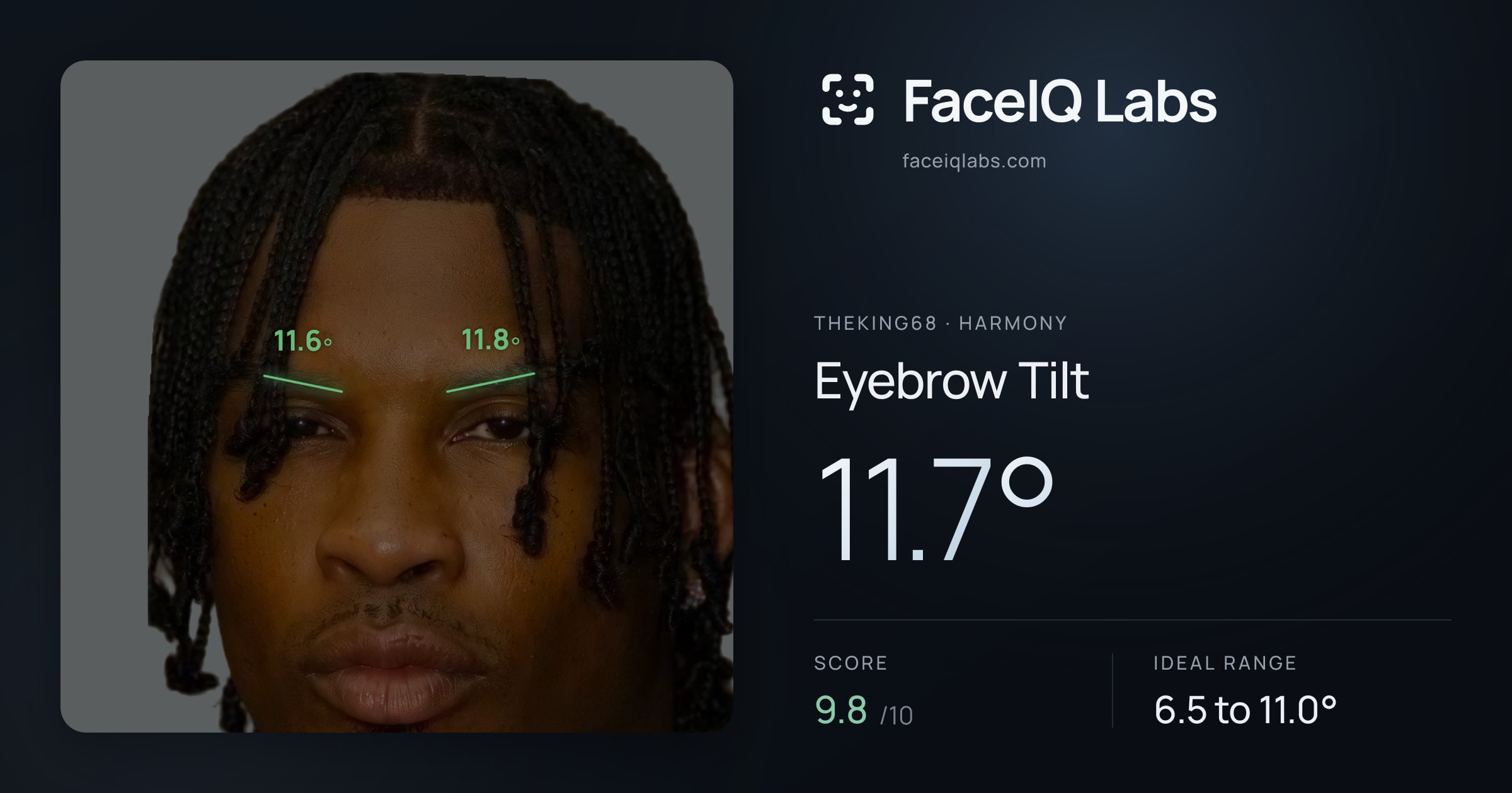 Theking68 Eyebrow Tilt: 11.7°, drawn on the photo