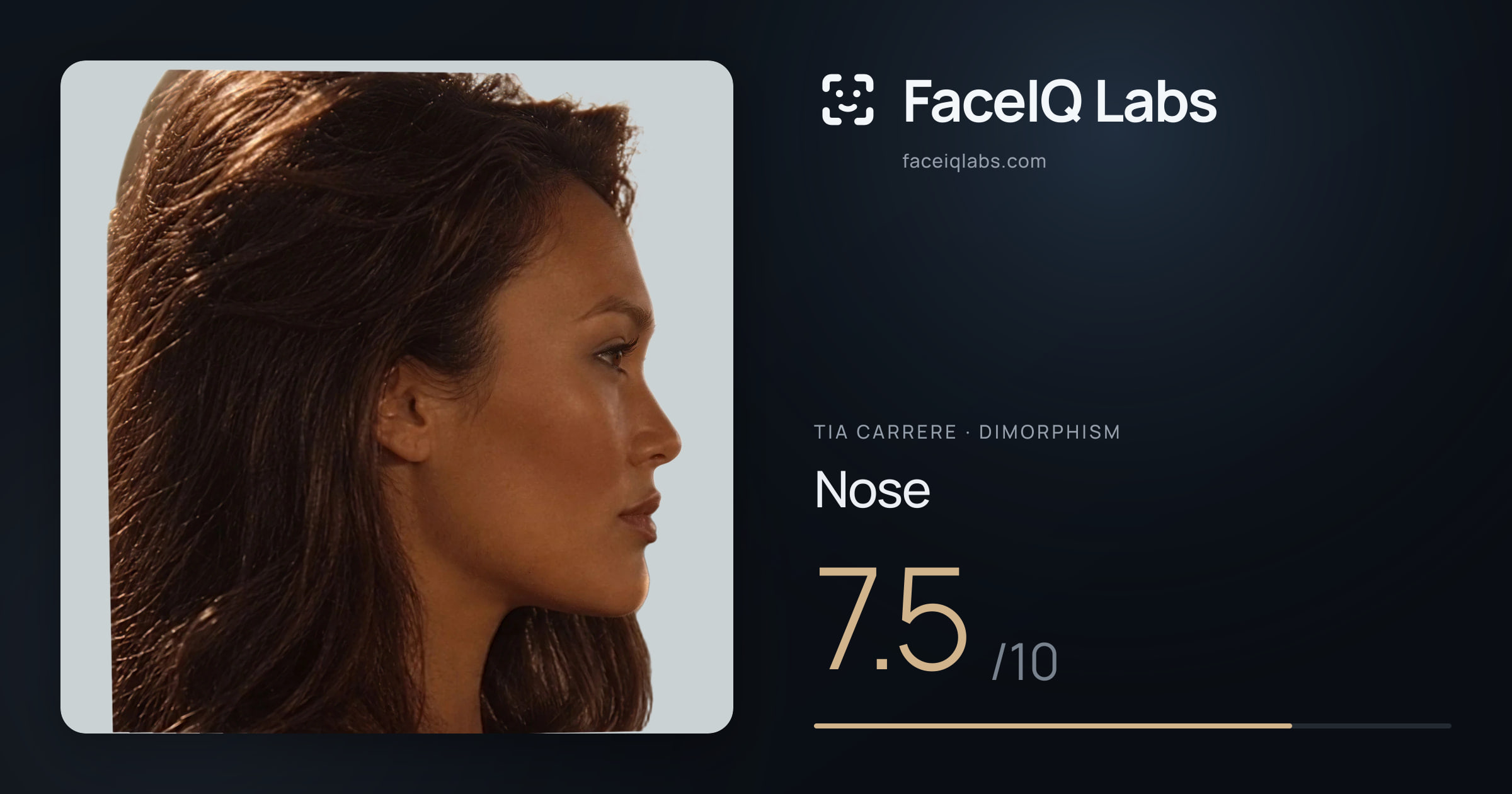 Tia Carrere Nose: 7.5/10, drawn on the photo