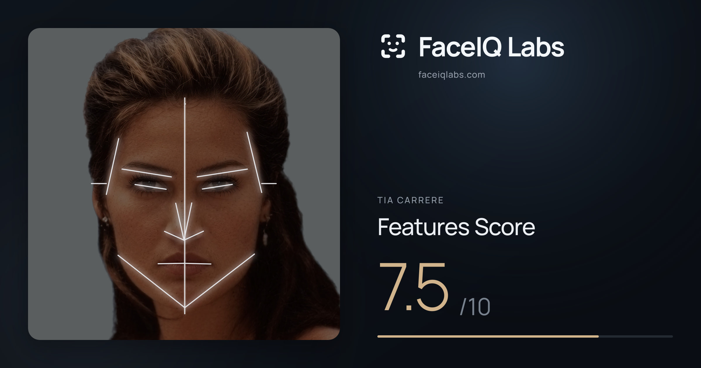 Tia Carrere Features: 7.5/10, with each assessment drawn on the photo