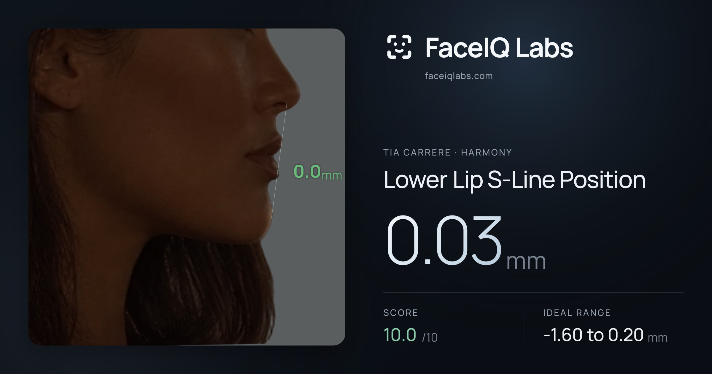 Tia Carrere Lower Lip S-Line Position: 0.03mm, drawn on the photo
