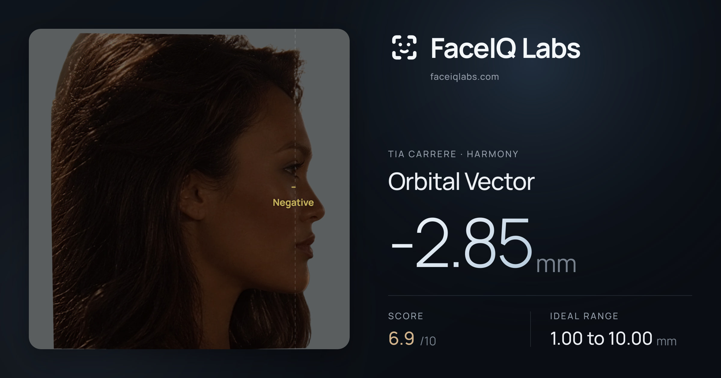 Tia Carrere Orbital Vector: -2.85mm, drawn on the photo