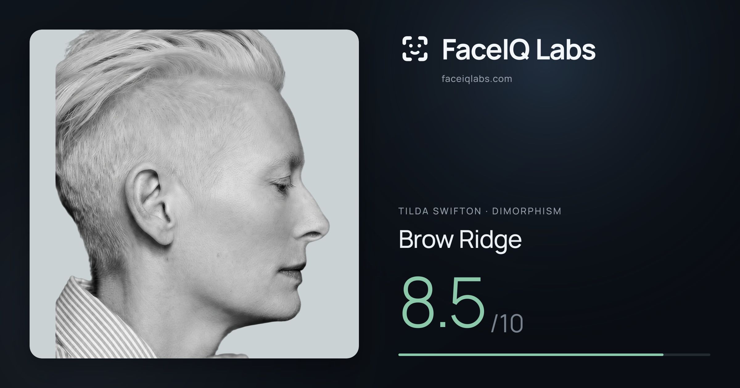 Tilda Swifton Brow Ridge: 8.5/10, drawn on the photo