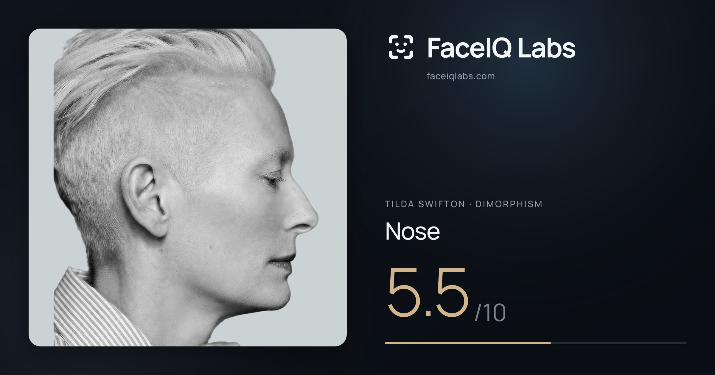 Tilda Swifton Nose: 5.5/10, drawn on the photo