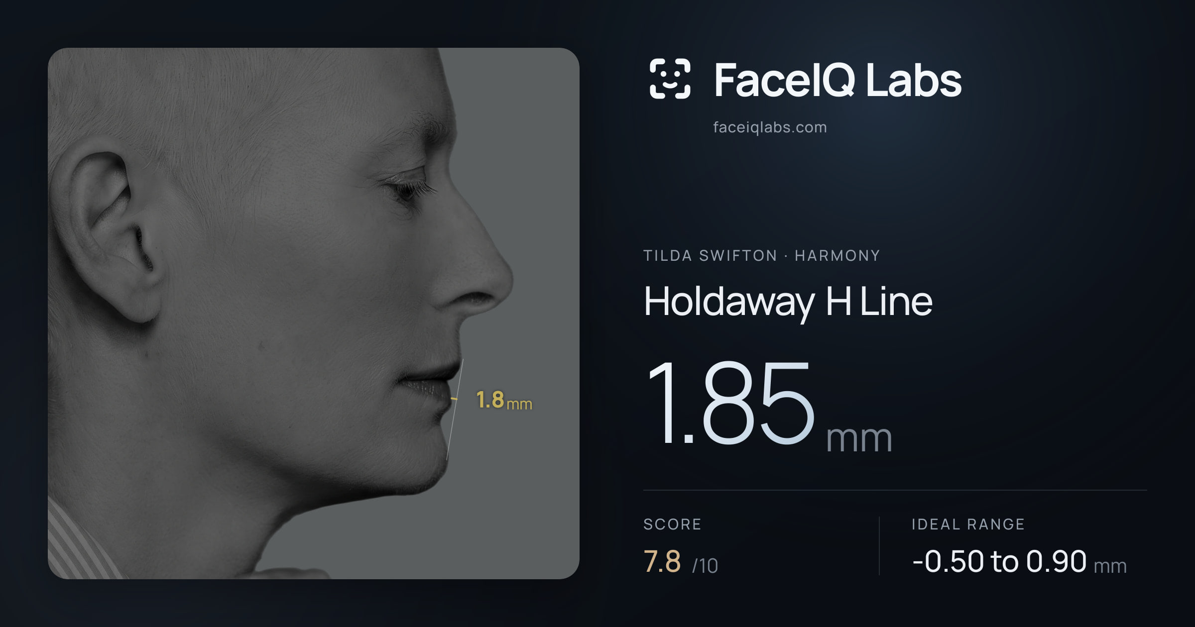 Tilda Swifton Holdaway H Line: 1.85mm, drawn on the photo
