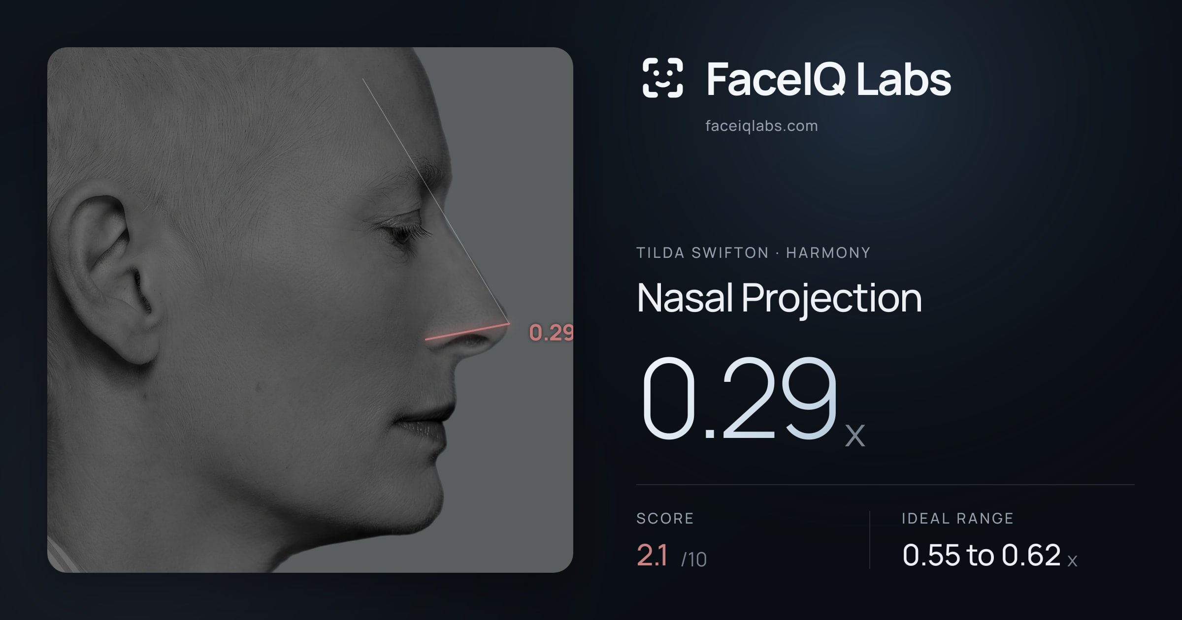 Tilda Swifton Nasal Projection: 0.29x, drawn on the photo