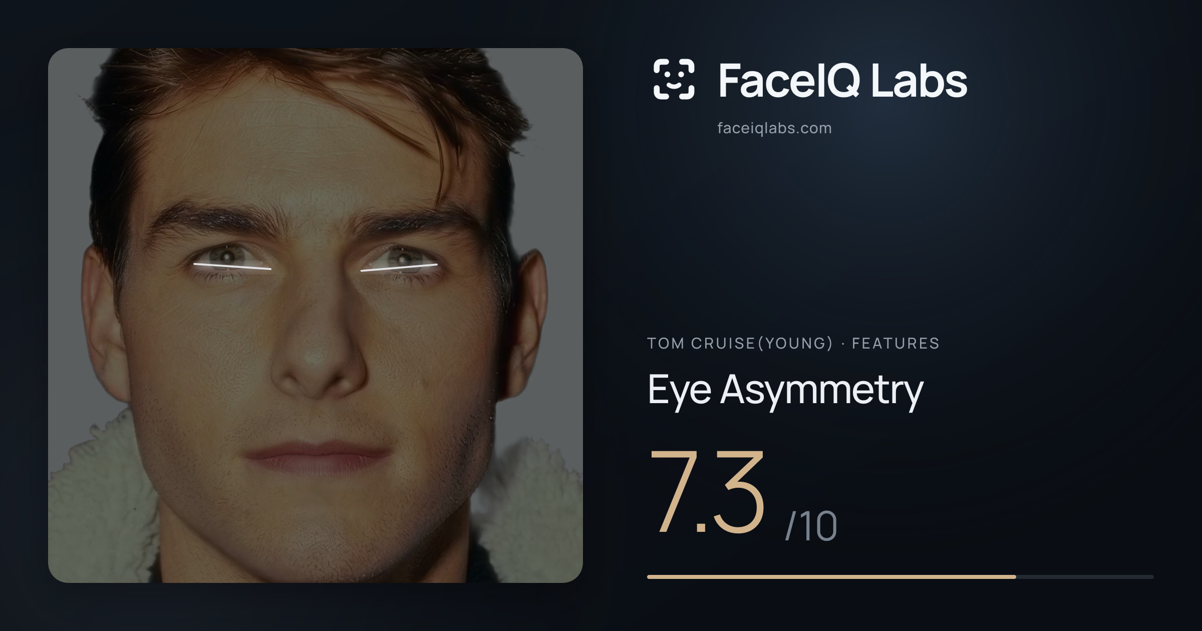 Tom Cruise(Young) Eye Asymmetry: 7.3/10, drawn on the photo