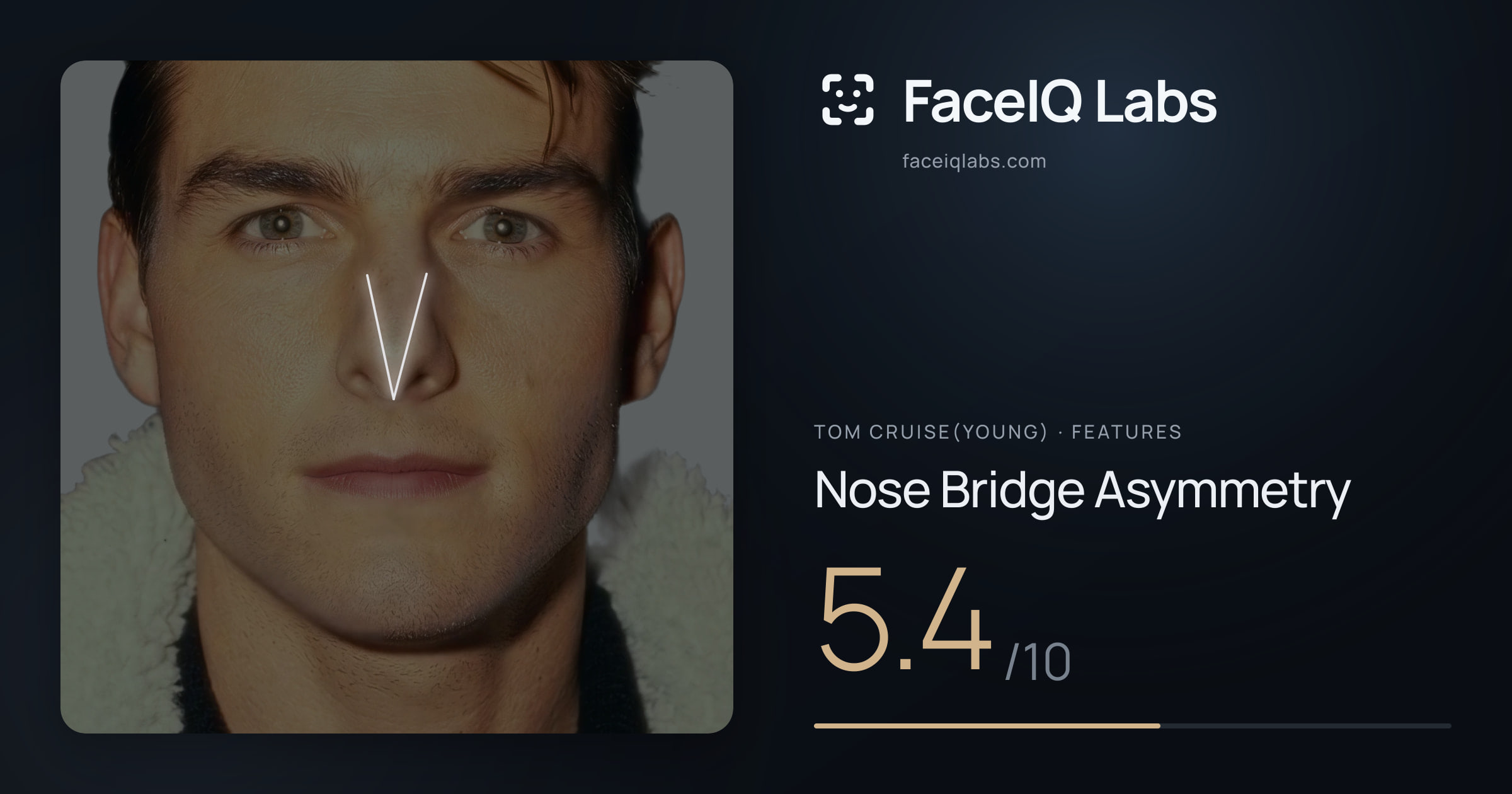 Tom Cruise(Young) Nose Bridge Asymmetry: 5.4/10, drawn on the photo