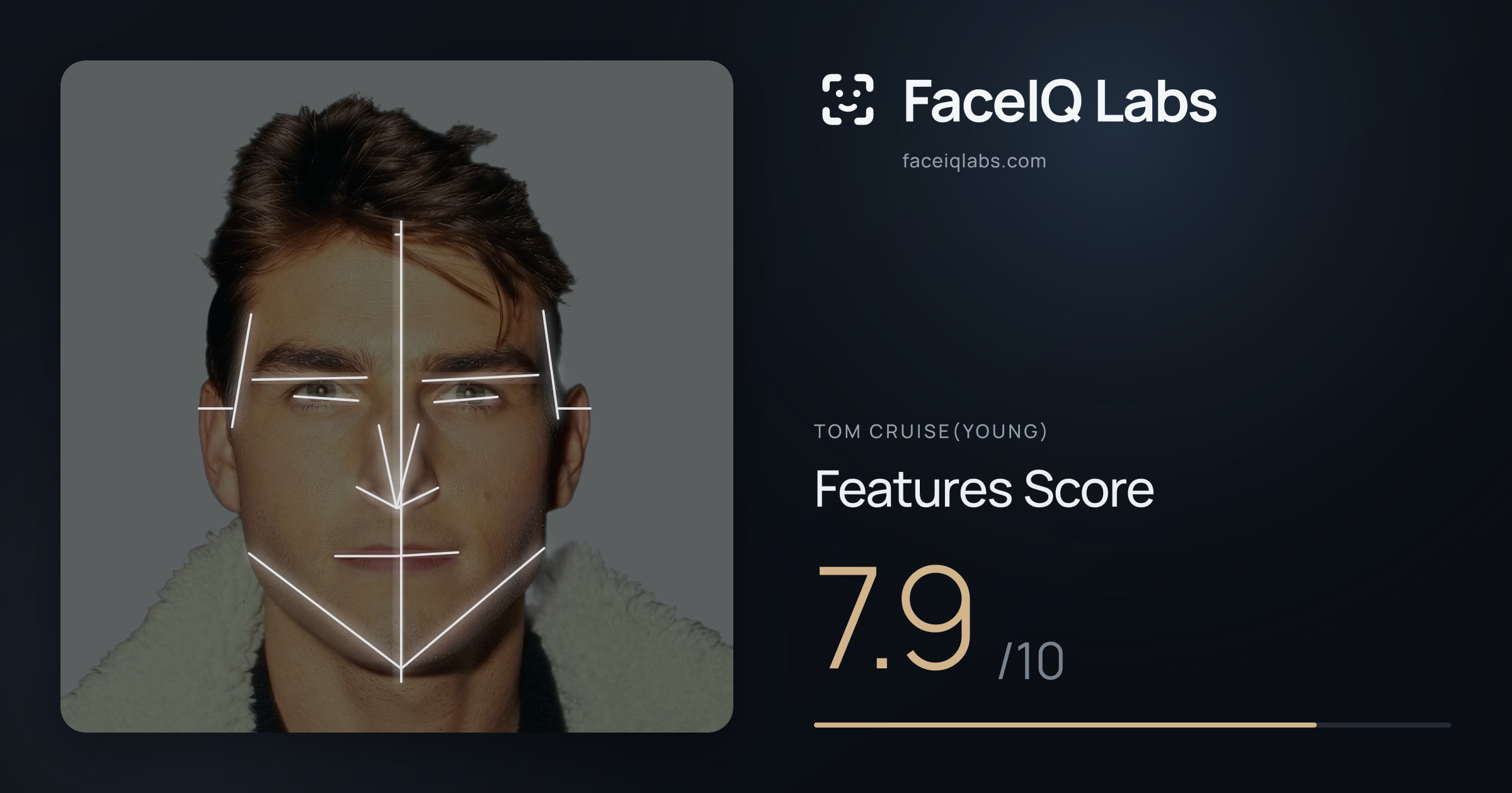 Tom Cruise(Young) Features: 7.9/10, with each assessment drawn on the photo