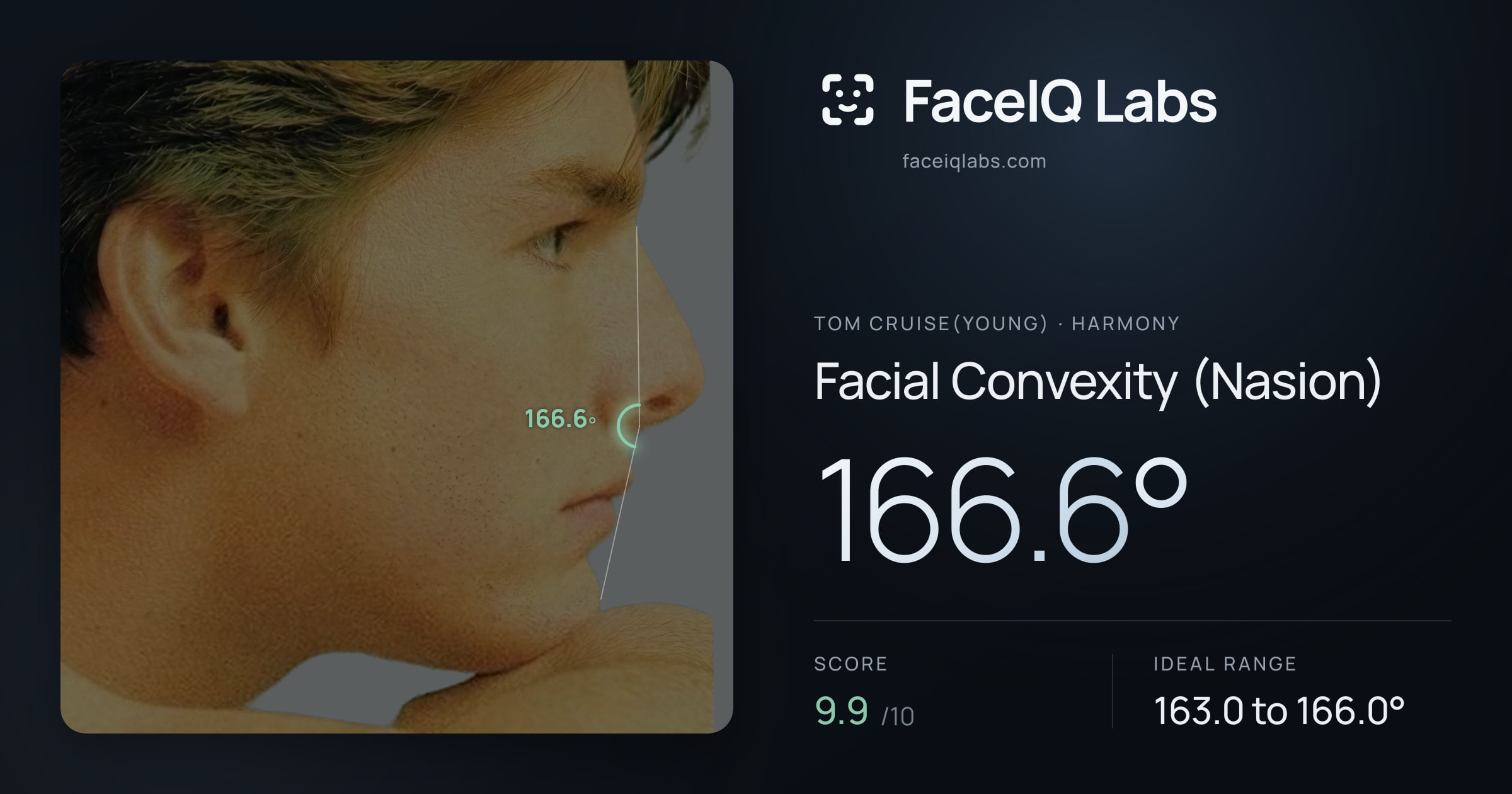 Tom Cruise(Young) Facial Convexity (Nasion): 166.6°, drawn on the photo