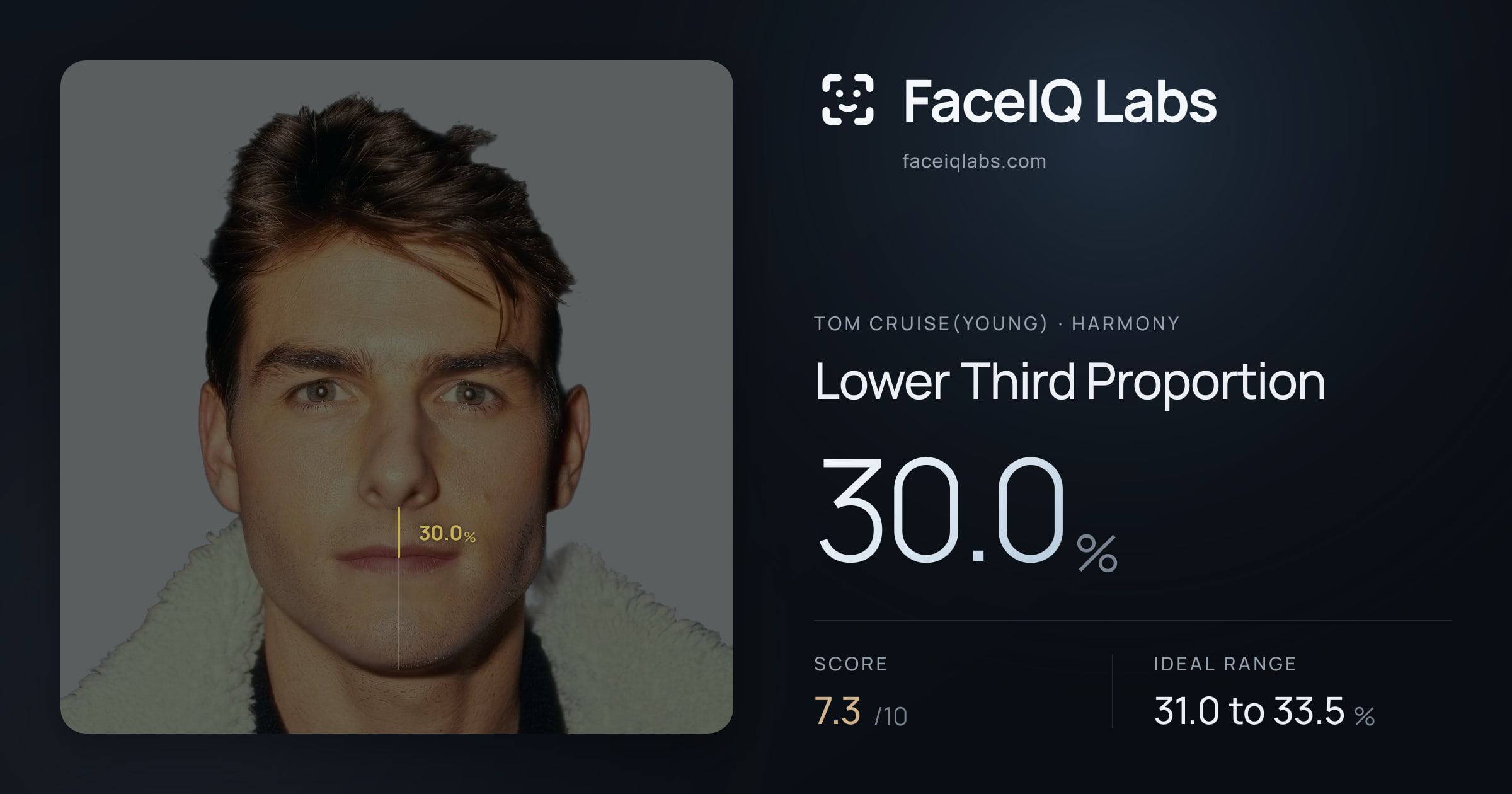 Tom Cruise(Young) Lower Third Proportion: 30.0%, drawn on the photo