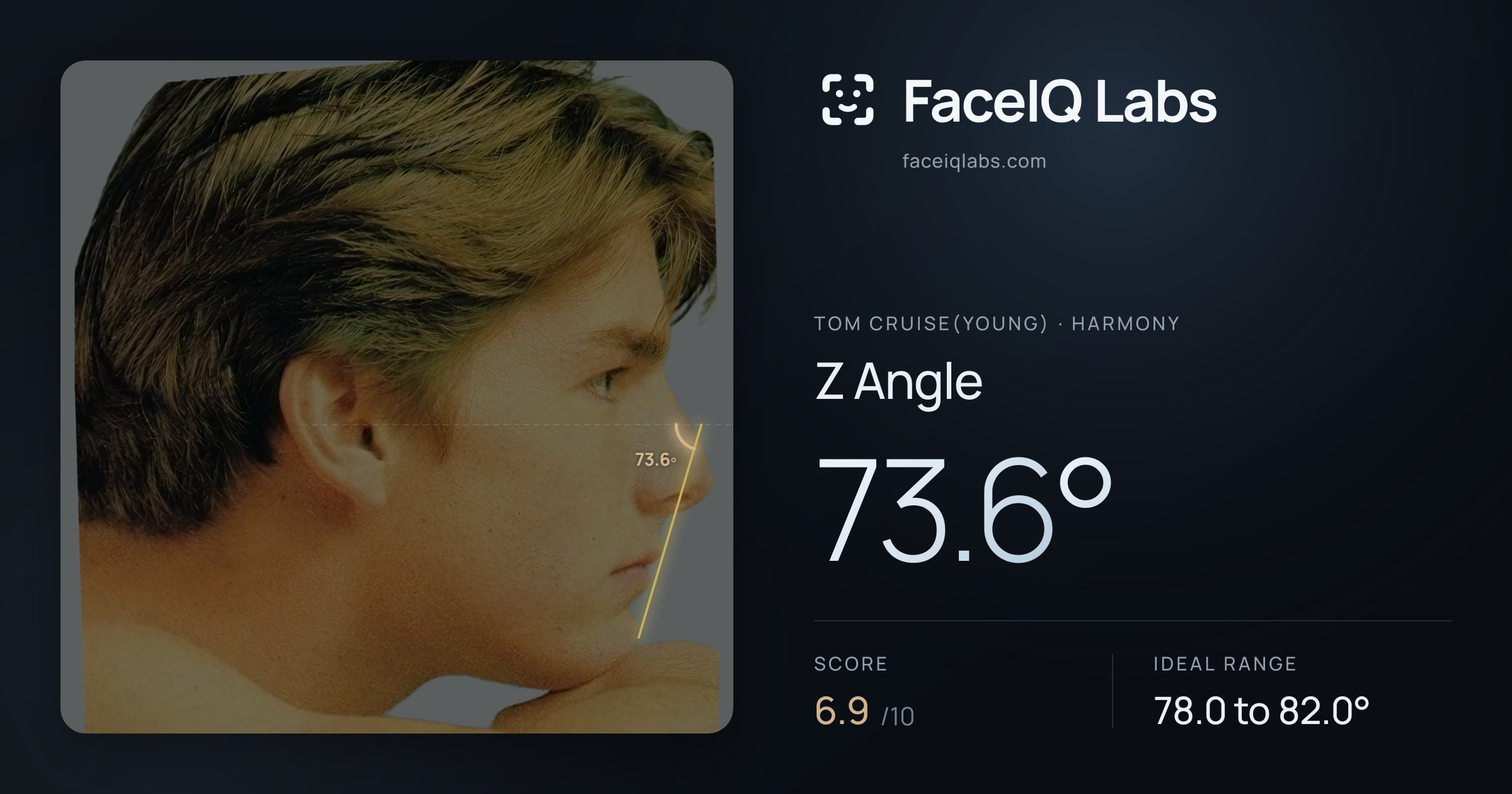 Tom Cruise(Young) Z Angle: 73.6°, drawn on the photo