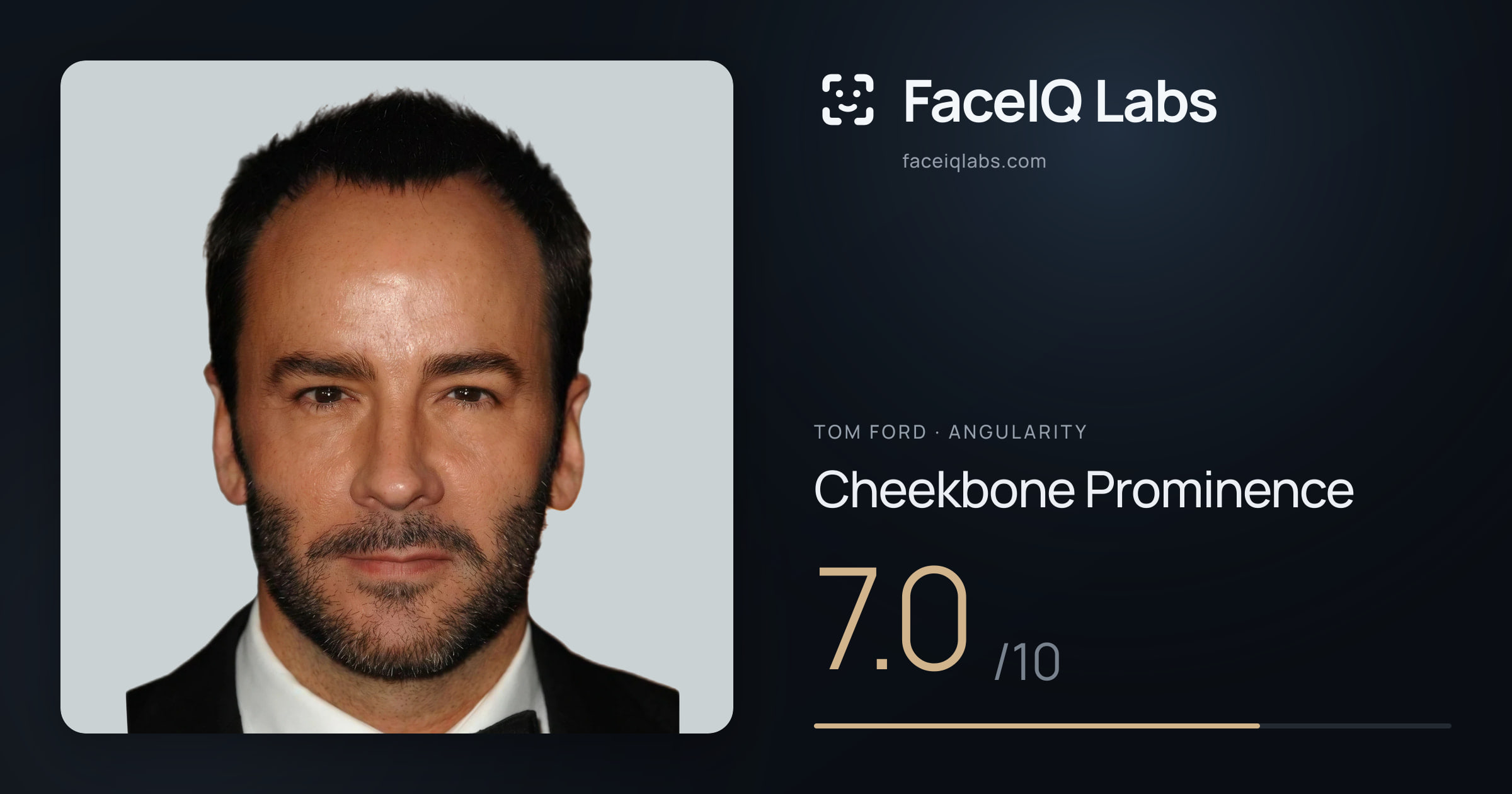 Tom Ford Cheekbone Prominence: 7.0/10, drawn on the photo