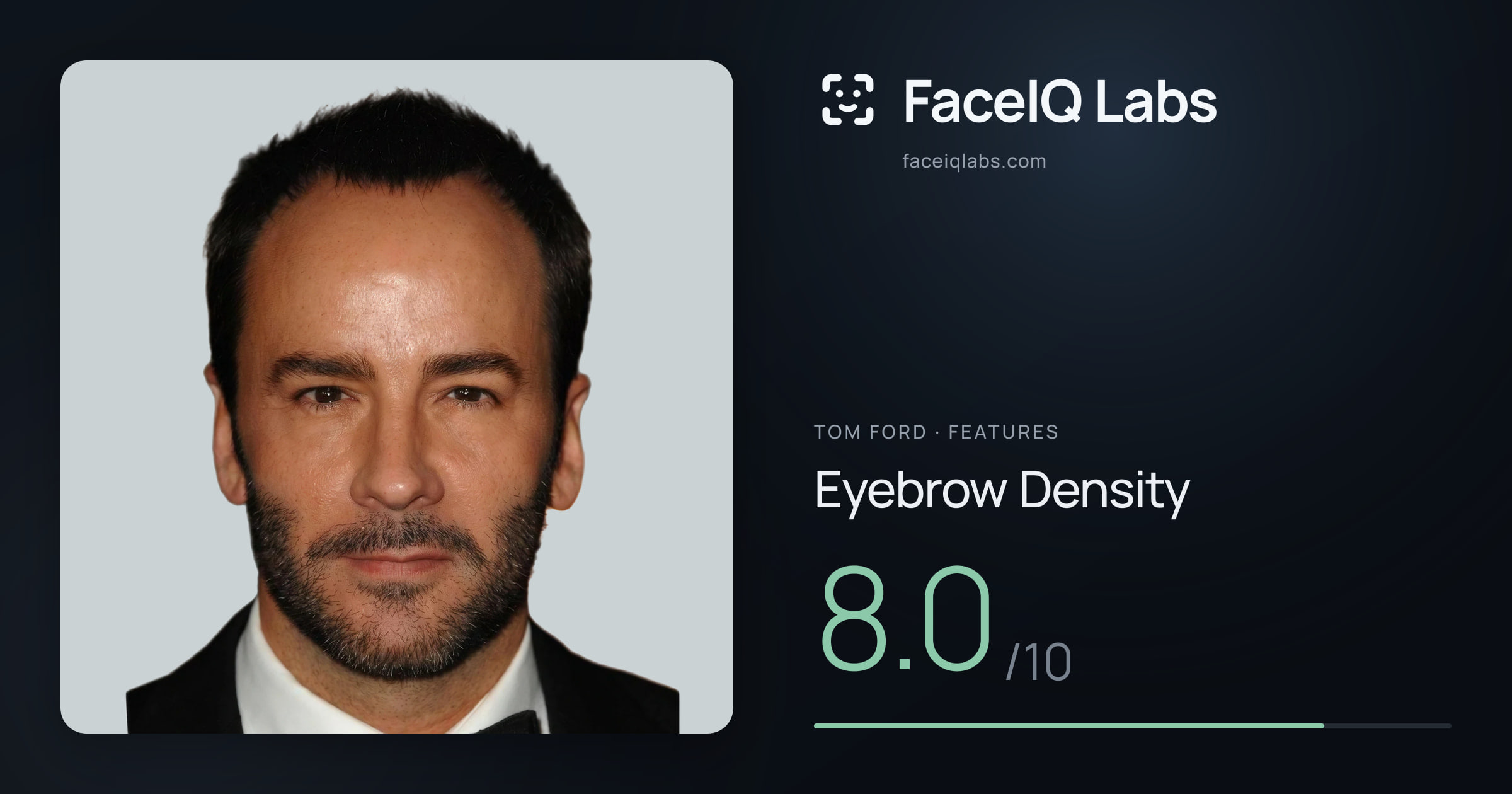 Tom Ford Eyebrow Density: 8.0/10, drawn on the photo