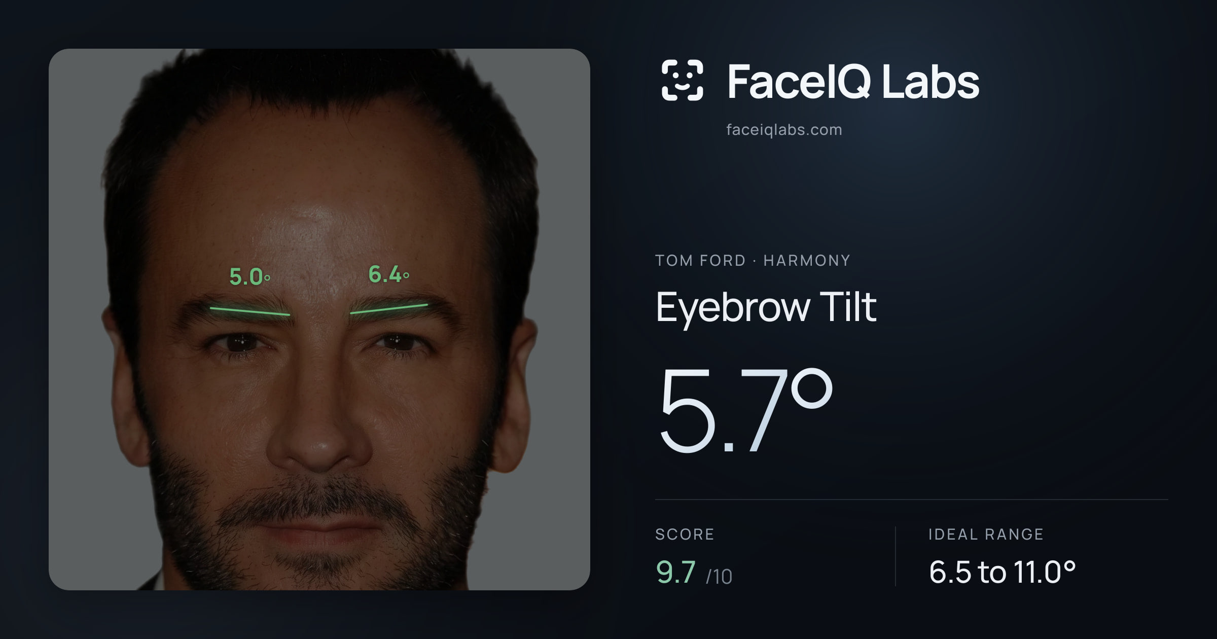 Tom Ford Eyebrow Tilt: 5.7°, drawn on the photo