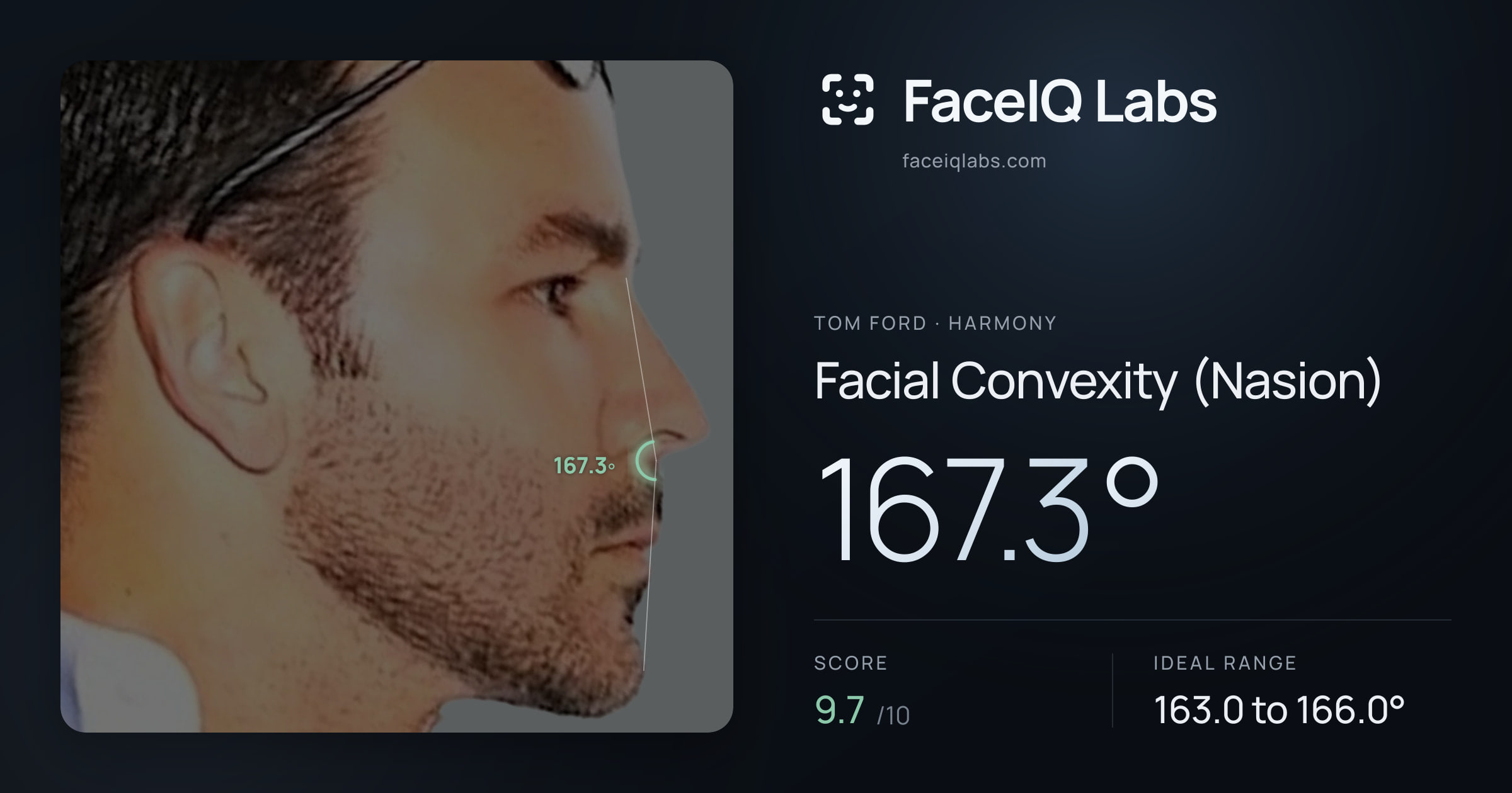 Tom Ford Facial Convexity (Nasion): 167.3°, drawn on the photo