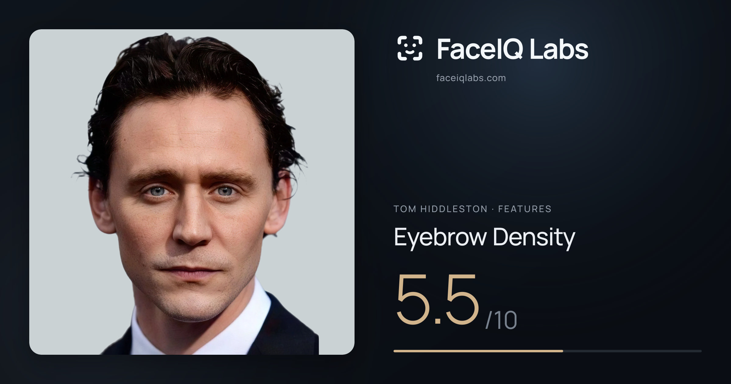 Tom Hiddleston Eyebrow Density: 5.5/10, drawn on the photo