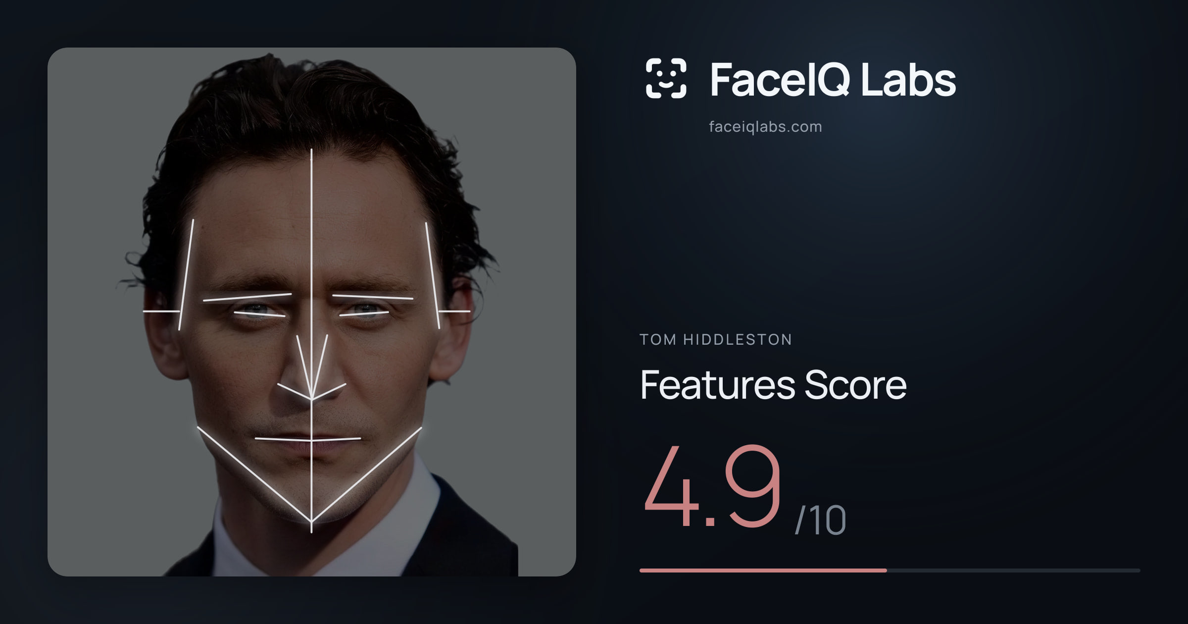 Tom Hiddleston Features: 4.9/10, with each assessment drawn on the photo