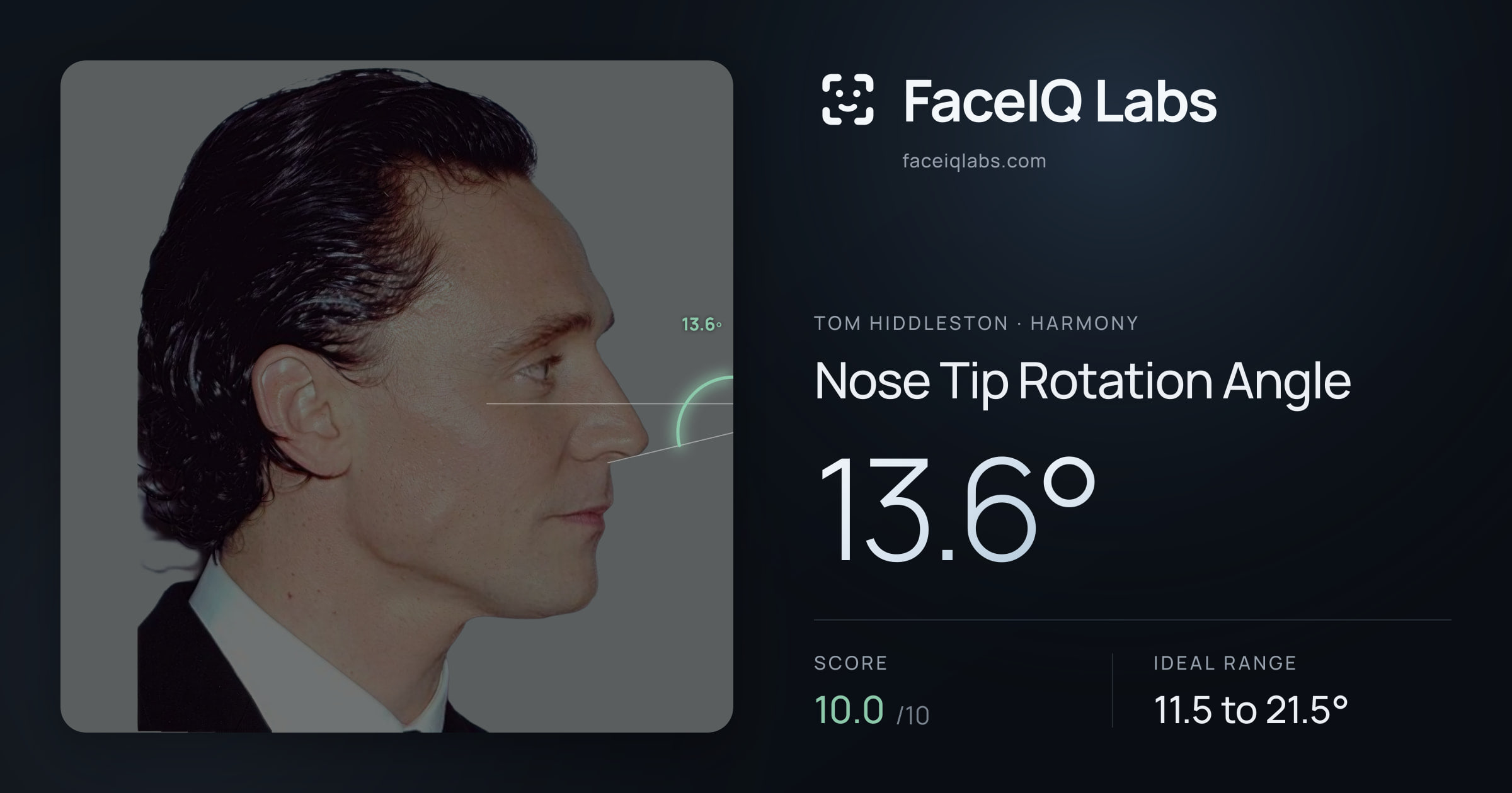 Tom Hiddleston Nose Tip Rotation Angle: 13.6°, drawn on the photo