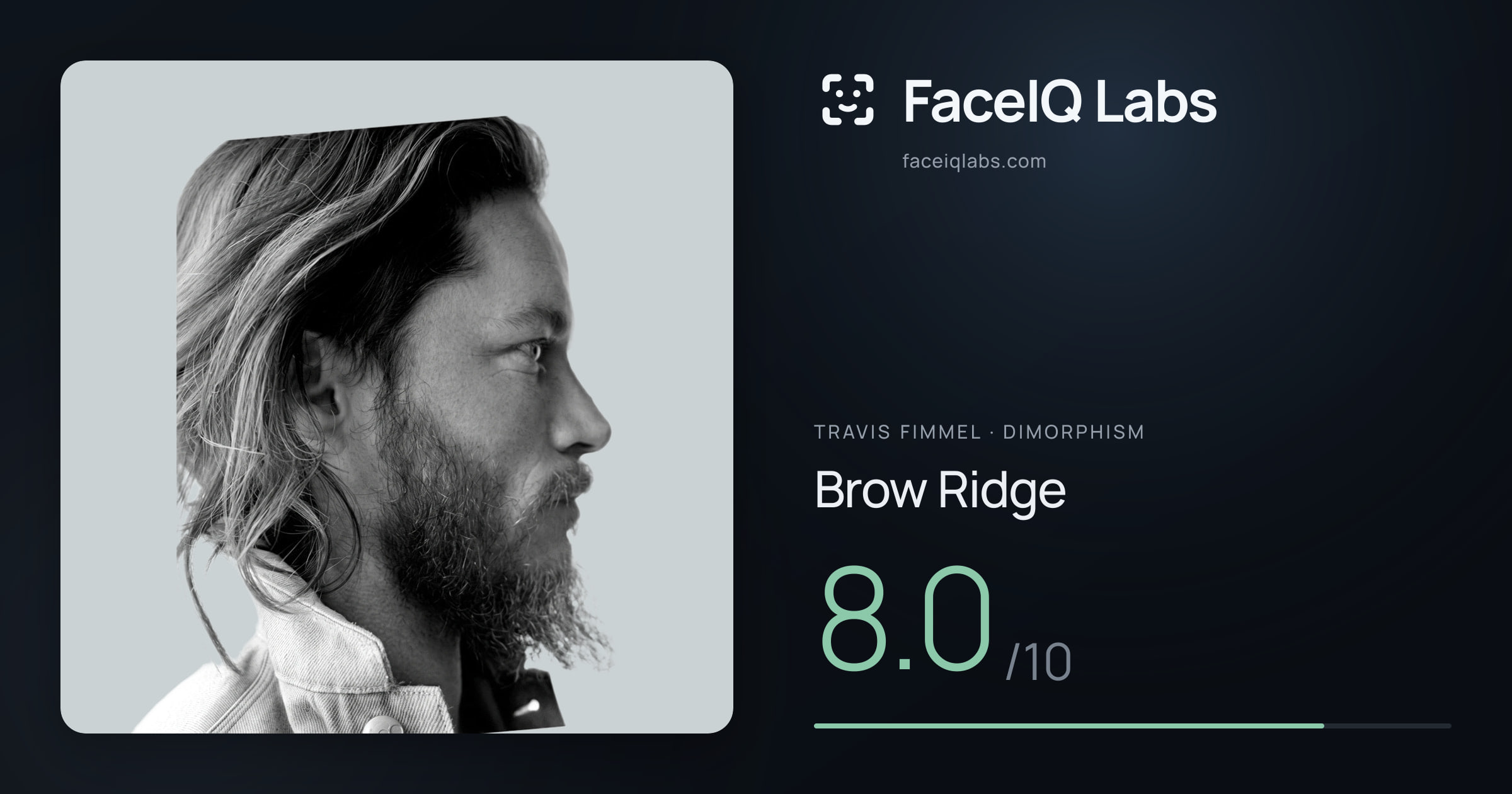 Travis Fimmel Brow Ridge: 8.0/10, drawn on the photo