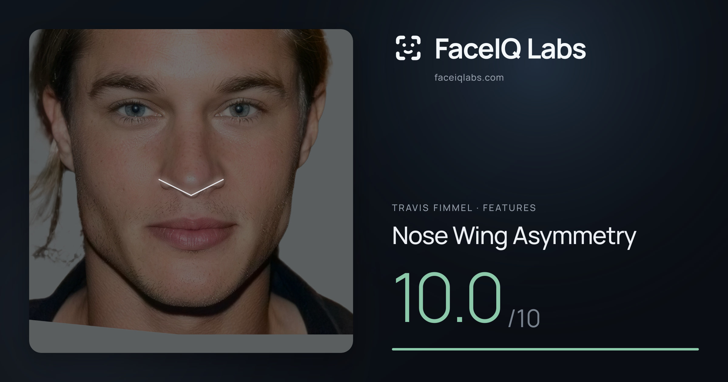 Travis Fimmel Nose Wing Asymmetry: 10.0/10, drawn on the photo