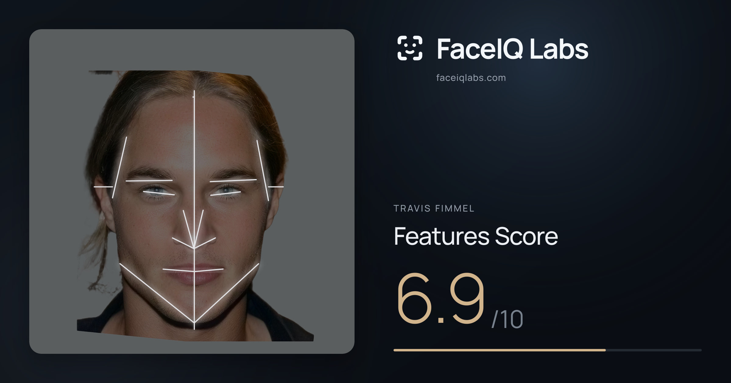 Travis Fimmel Features: 6.9/10, with each assessment drawn on the photo