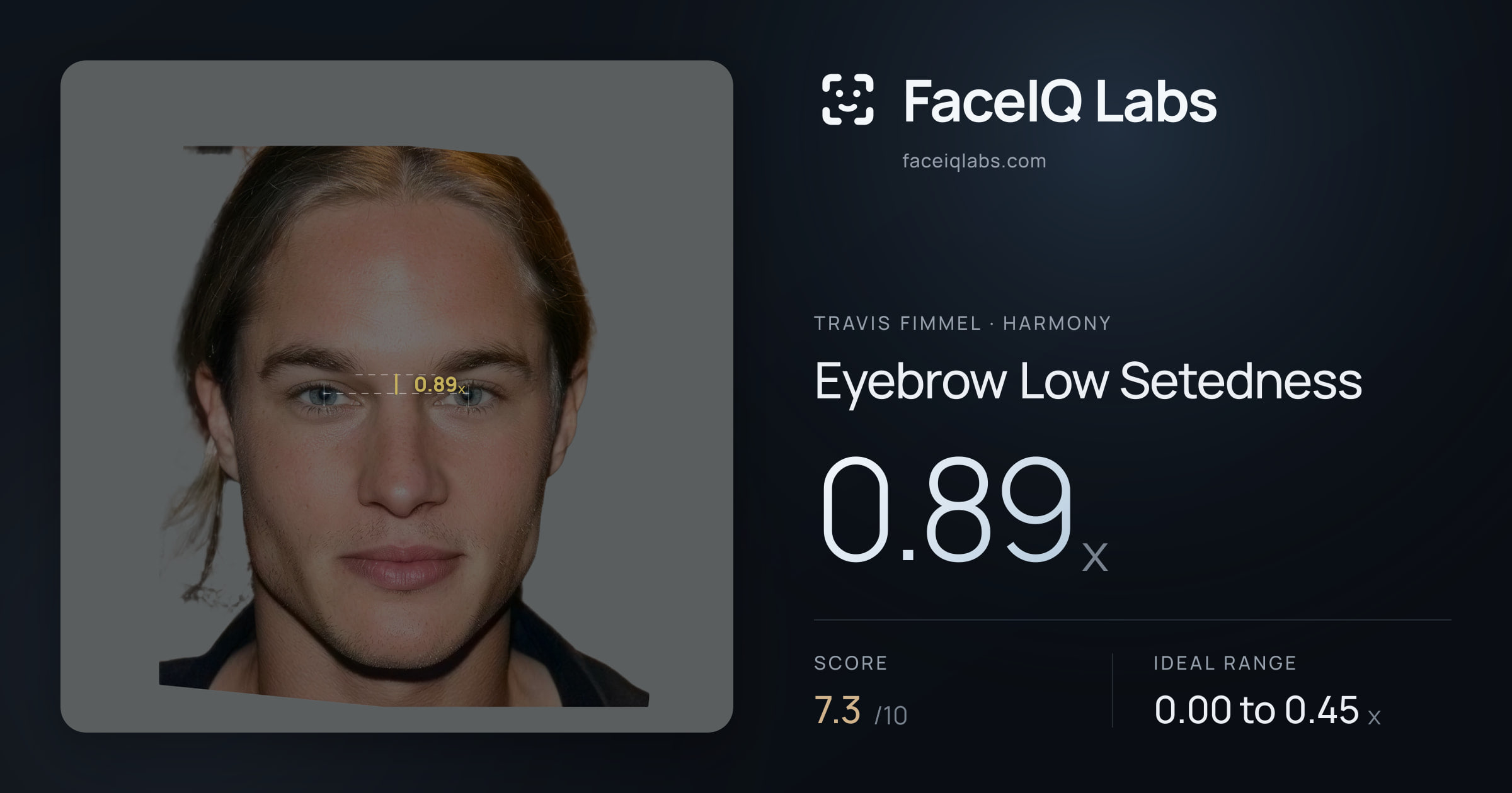 Travis Fimmel Eyebrow Low Setedness: 0.89x, drawn on the photo
