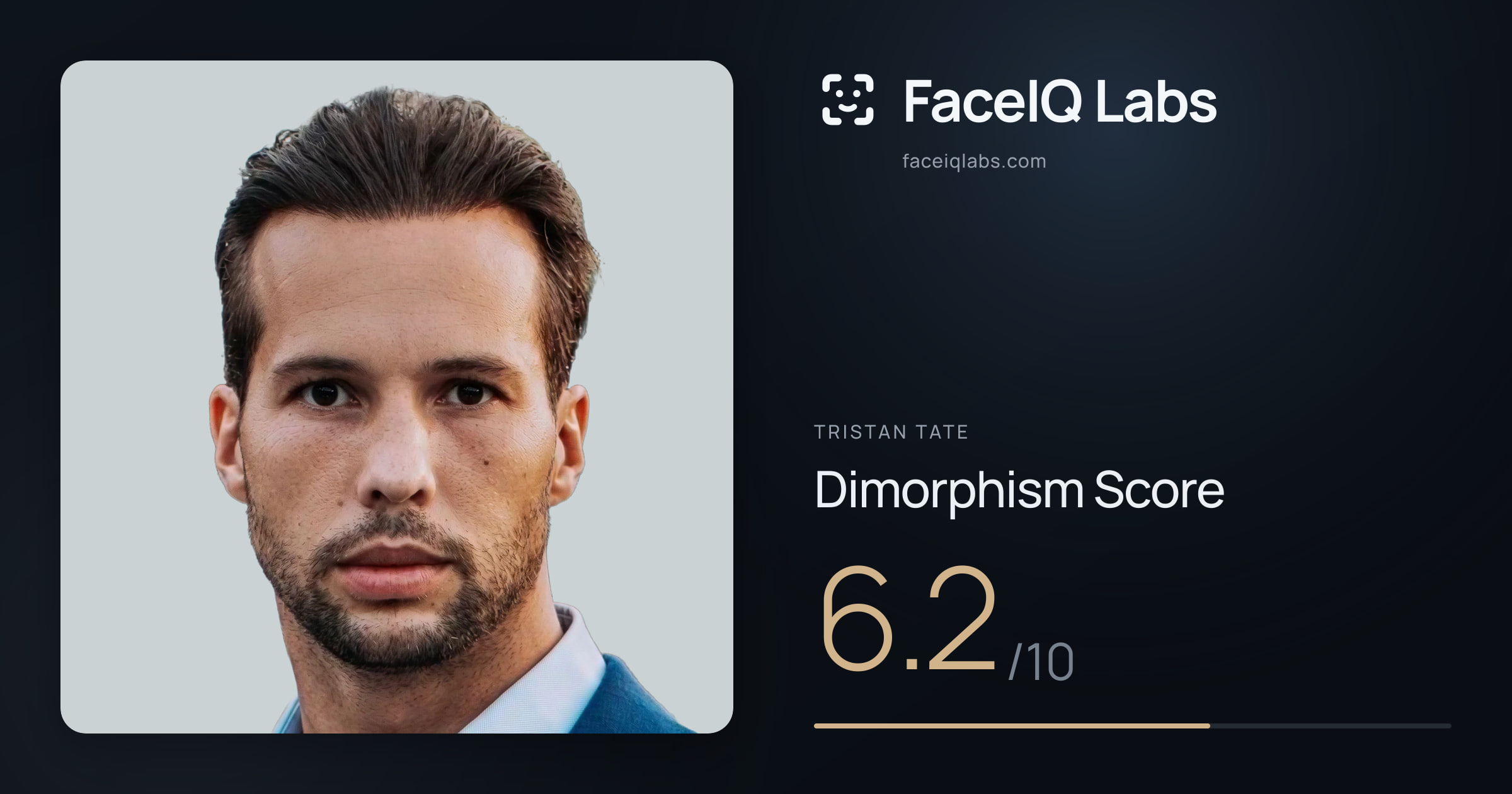 Tristan Tate Dimorphism: 6.2/10, with each assessment drawn on the photo