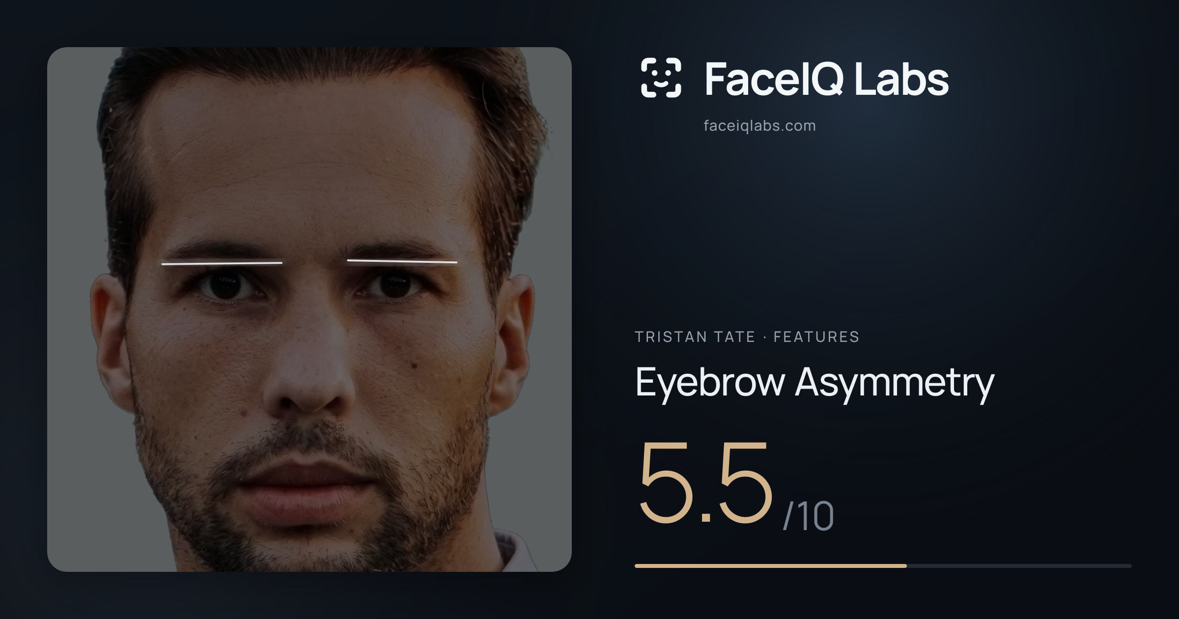 Tristan Tate Eyebrow Asymmetry: 5.5/10, drawn on the photo