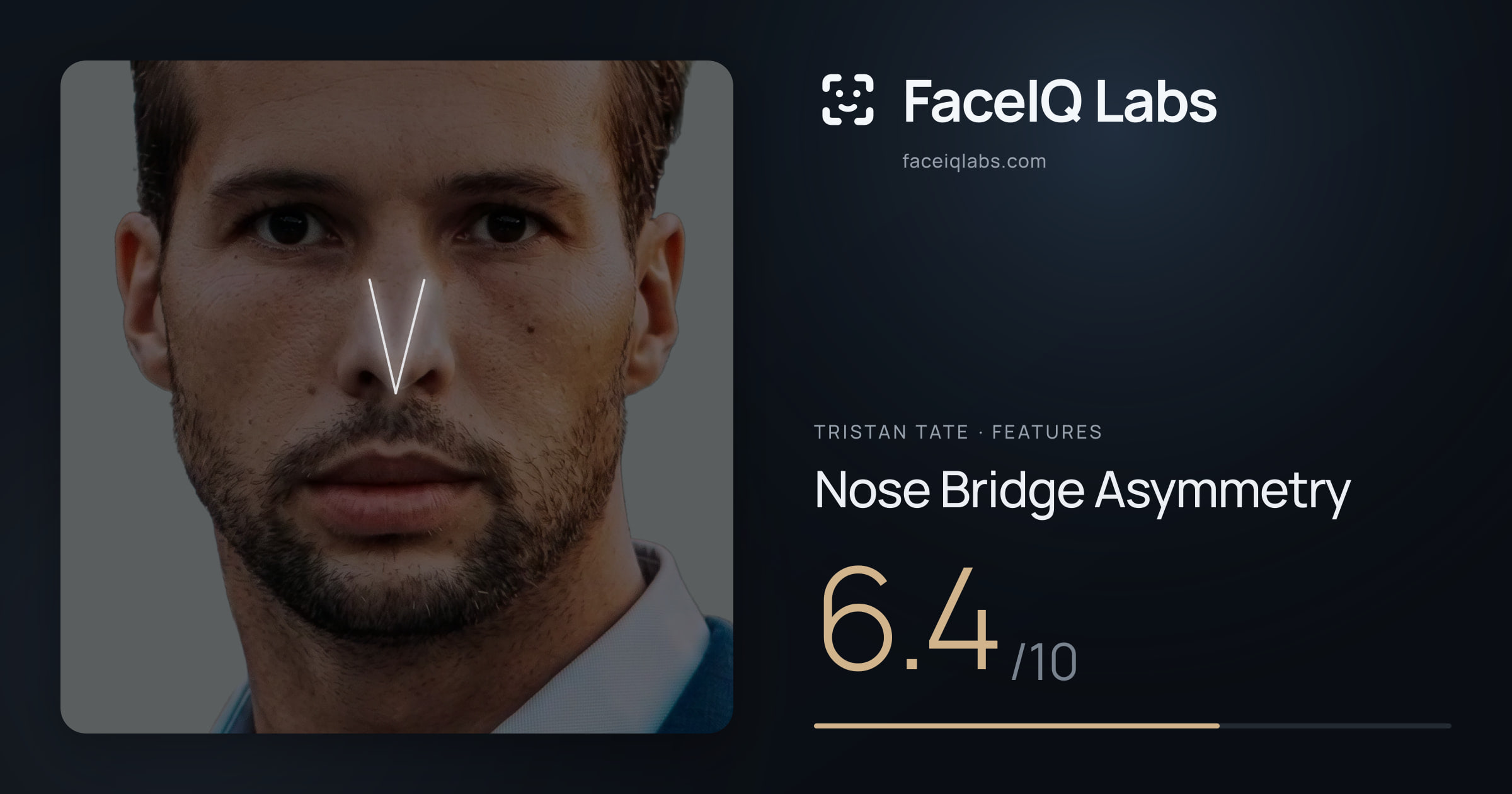 Tristan Tate Nose Bridge Asymmetry: 6.4/10, drawn on the photo