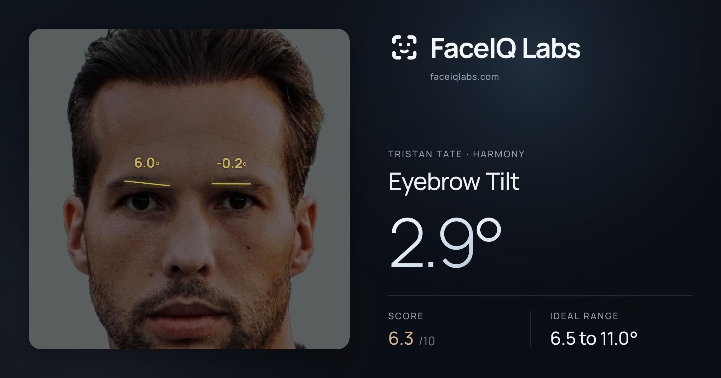 Tristan Tate Eyebrow Tilt: 2.9°, drawn on the photo