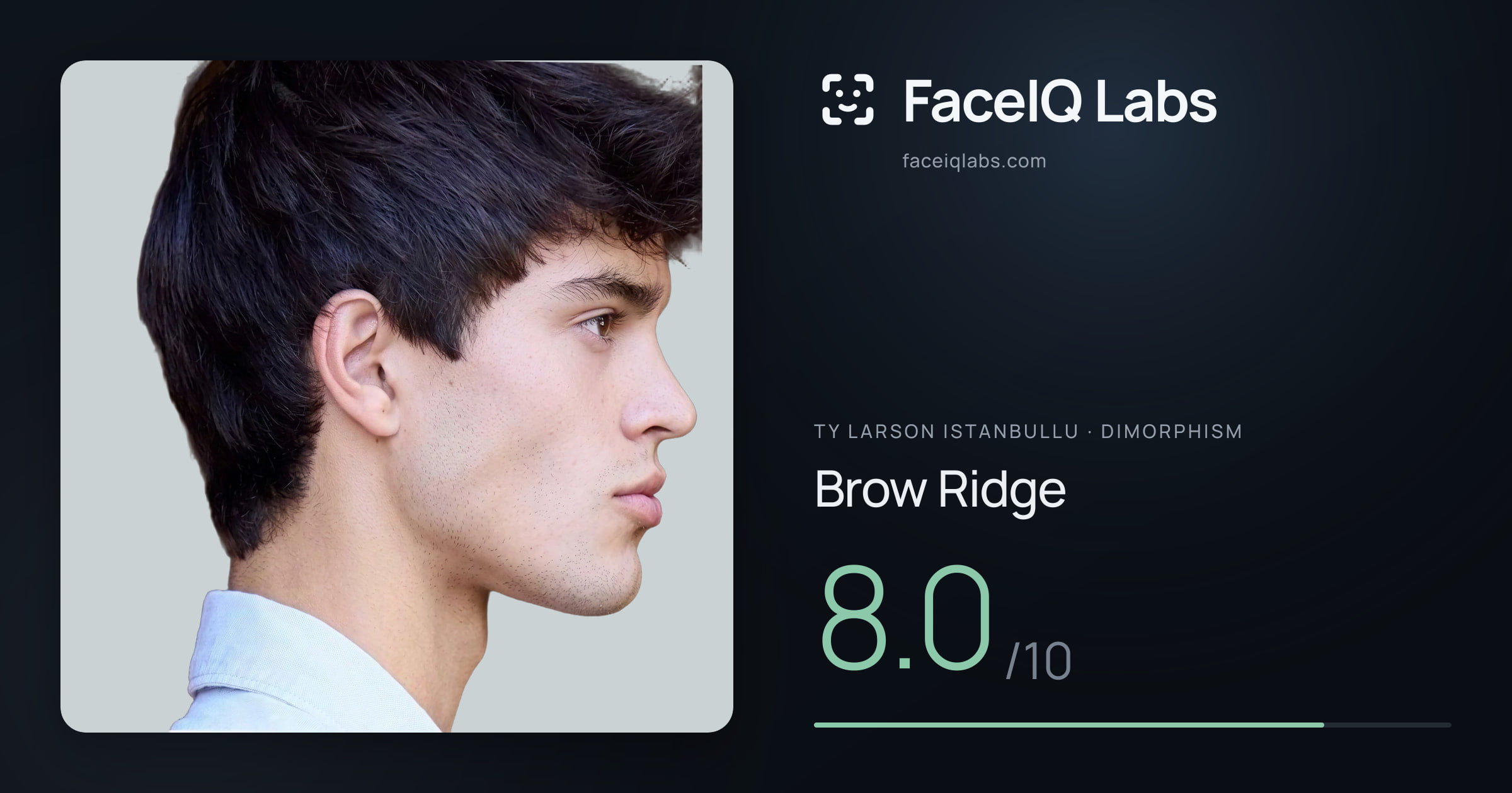 Ty Larson Istanbullu Brow Ridge: 8.0/10, drawn on the photo