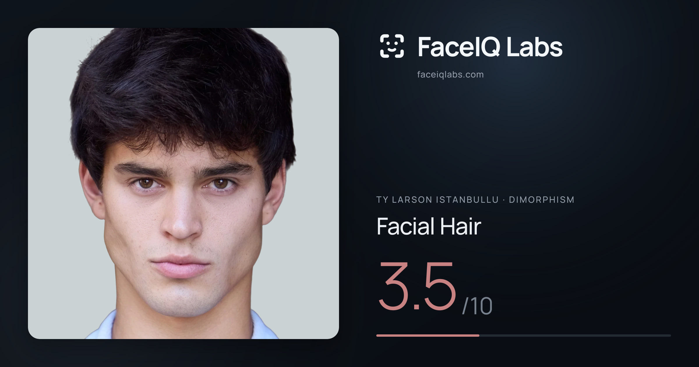 Ty Larson Istanbullu Facial Hair: 3.5/10, drawn on the photo