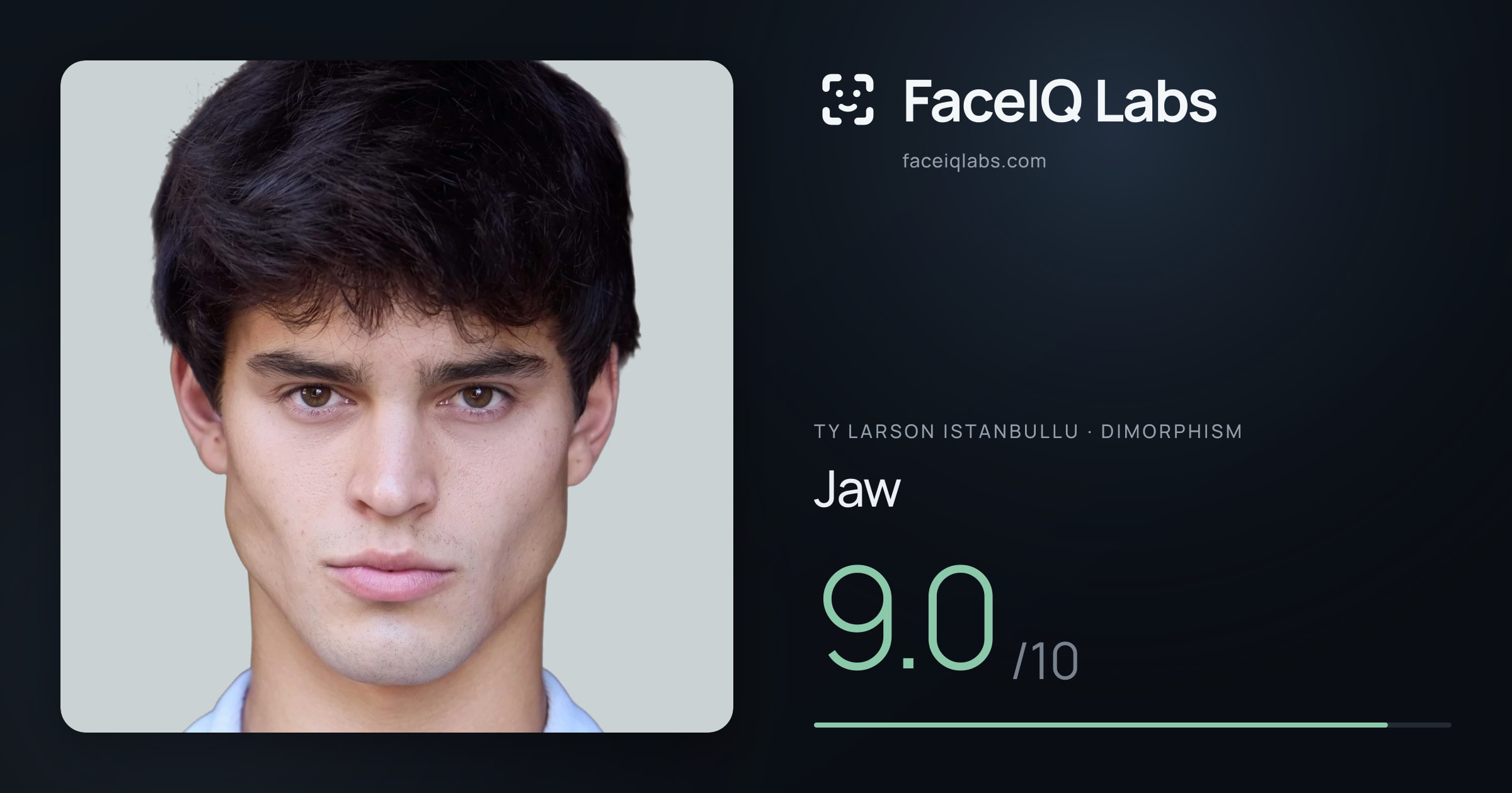 Ty Larson Istanbullu Jaw: 10.0/10, drawn on the photo